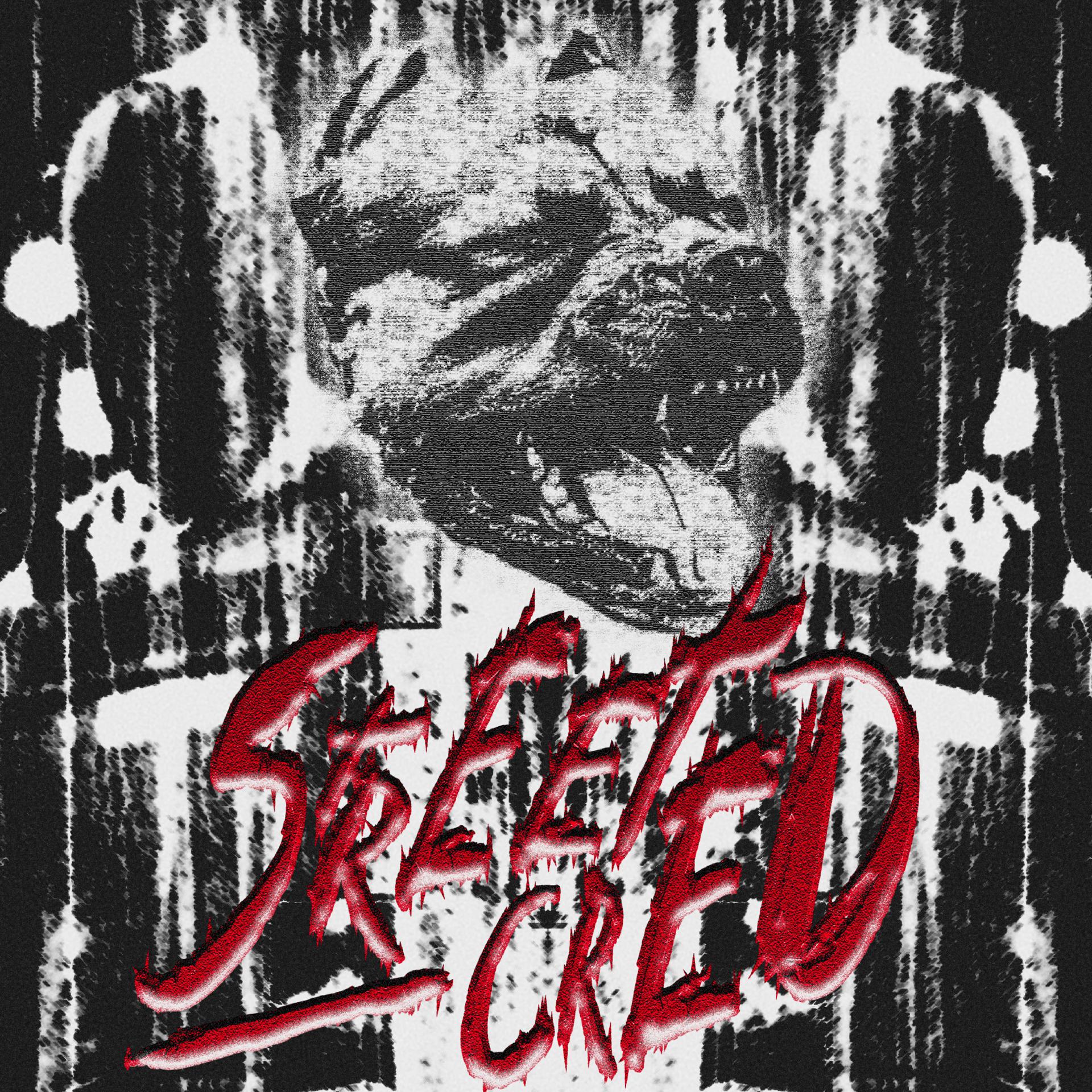 Постер альбома StreetCred