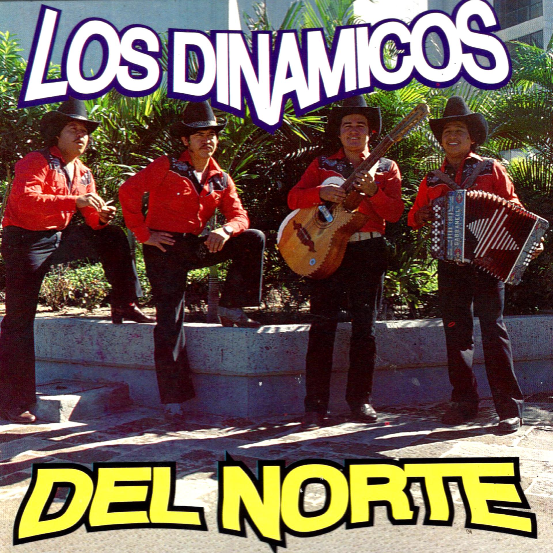 Постер альбома Los Dinamicos del Norte