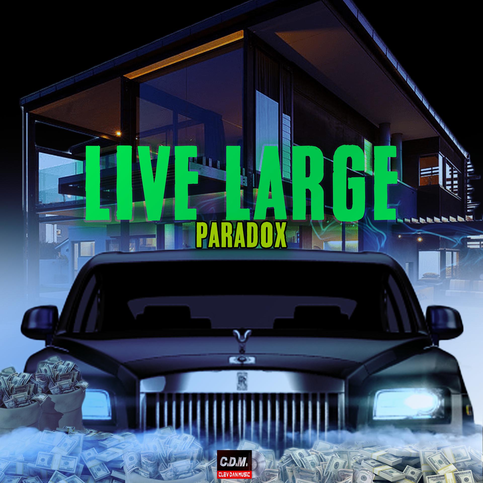Постер альбома Live Large