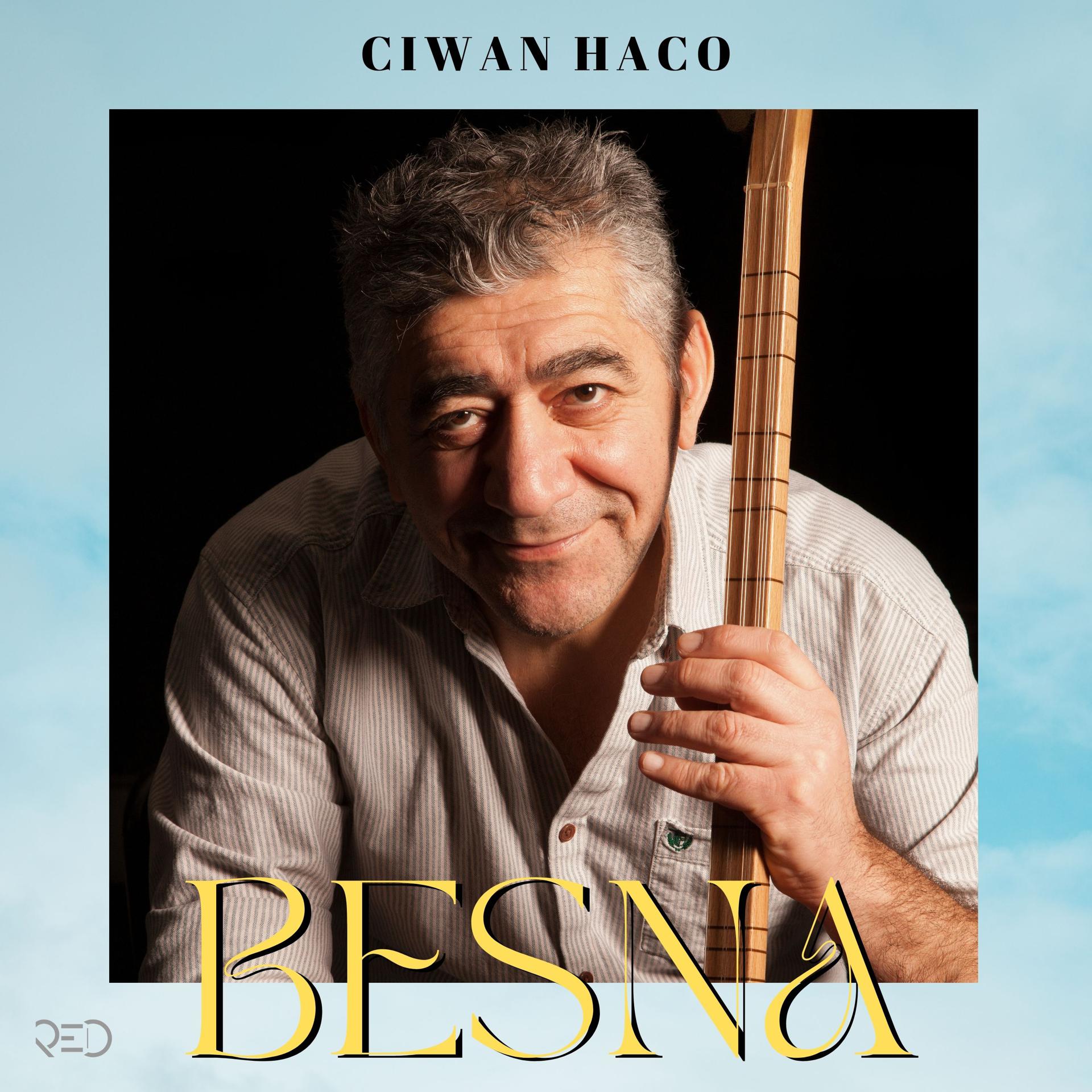 Постер альбома Besna