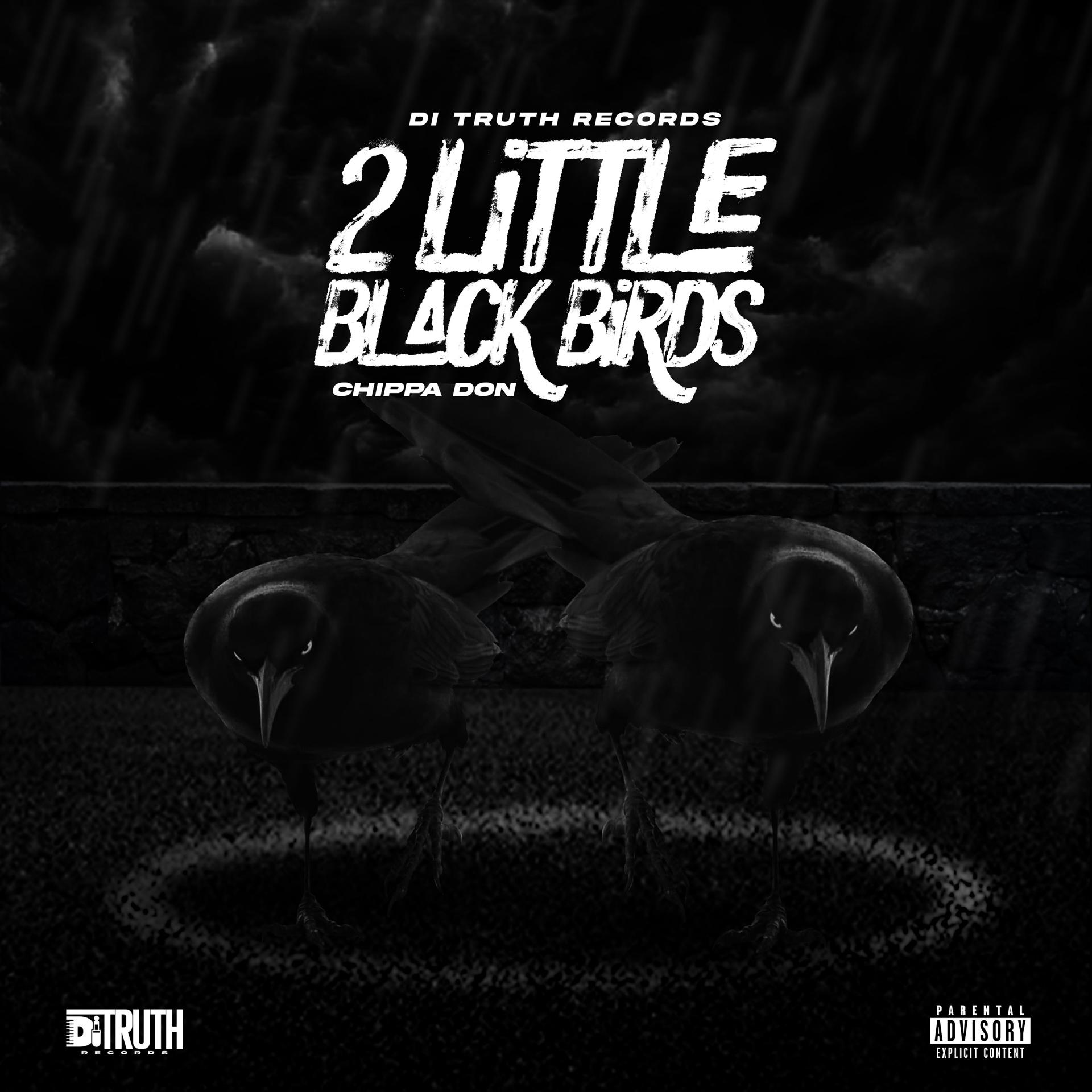Постер альбома 2 Little Black Birds