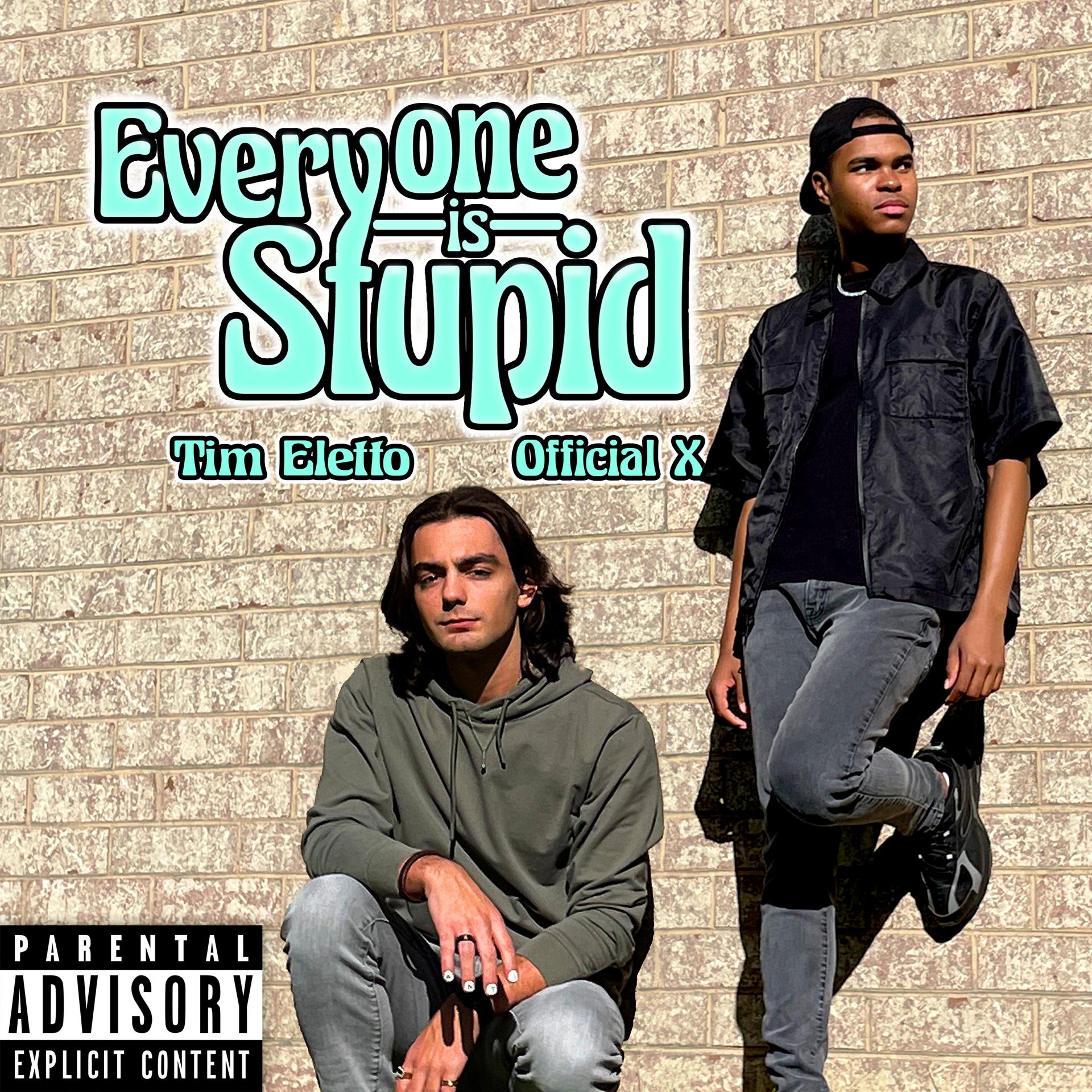 Постер альбома Everyone Is Stupid