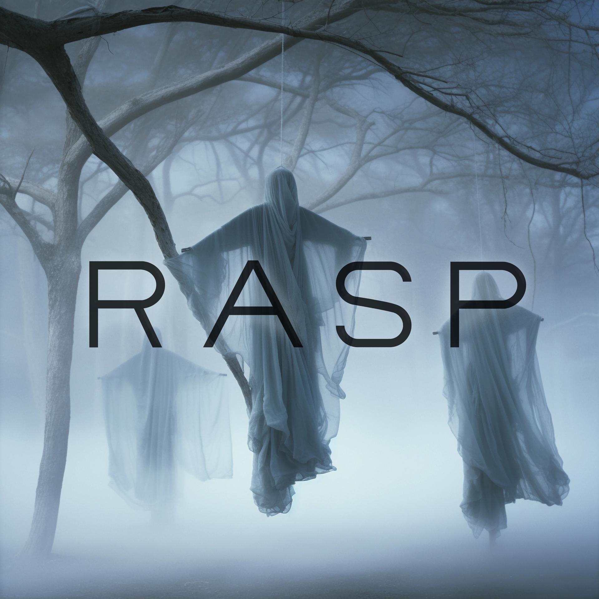 Постер альбома Rasp