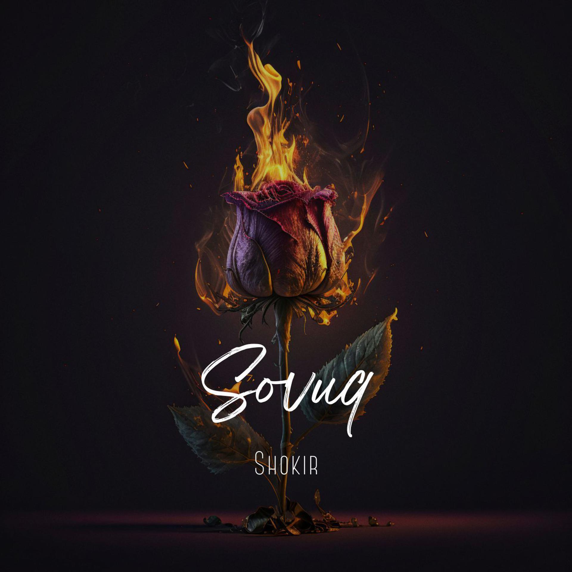Постер альбома Sovuq