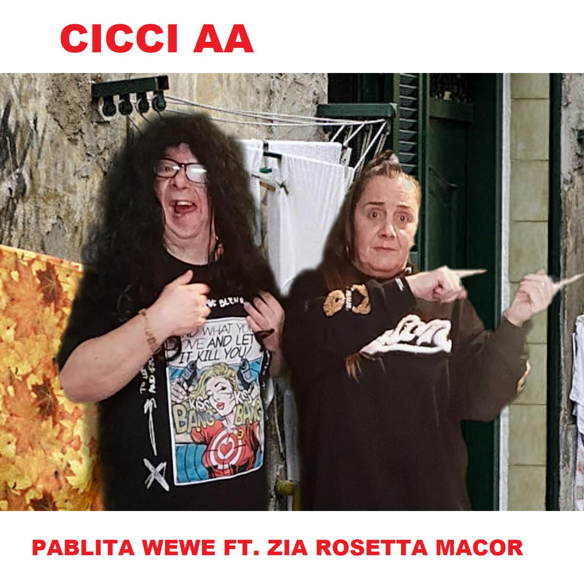 Постер альбома Cicci Aa