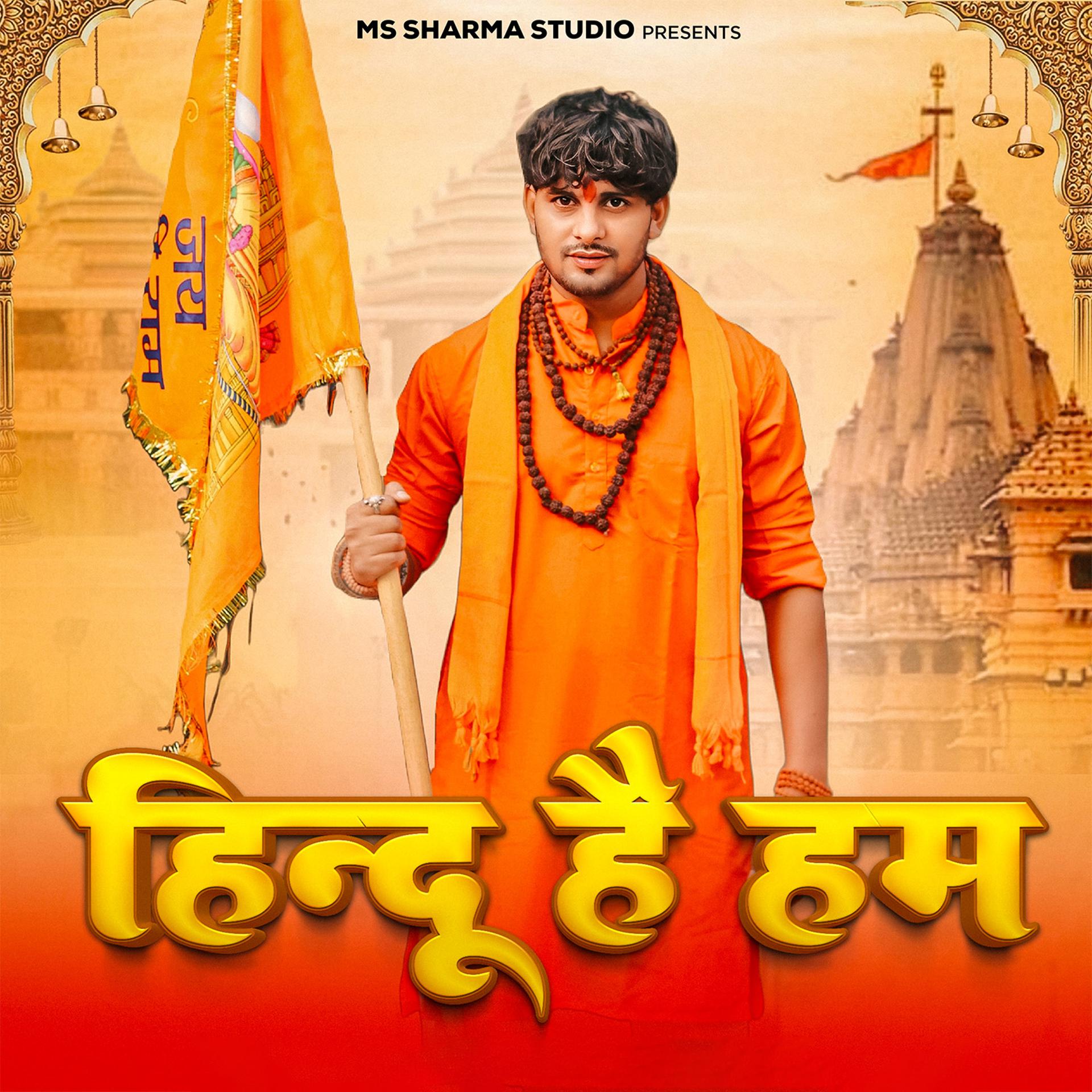 Постер альбома Hindu Hai Hum
