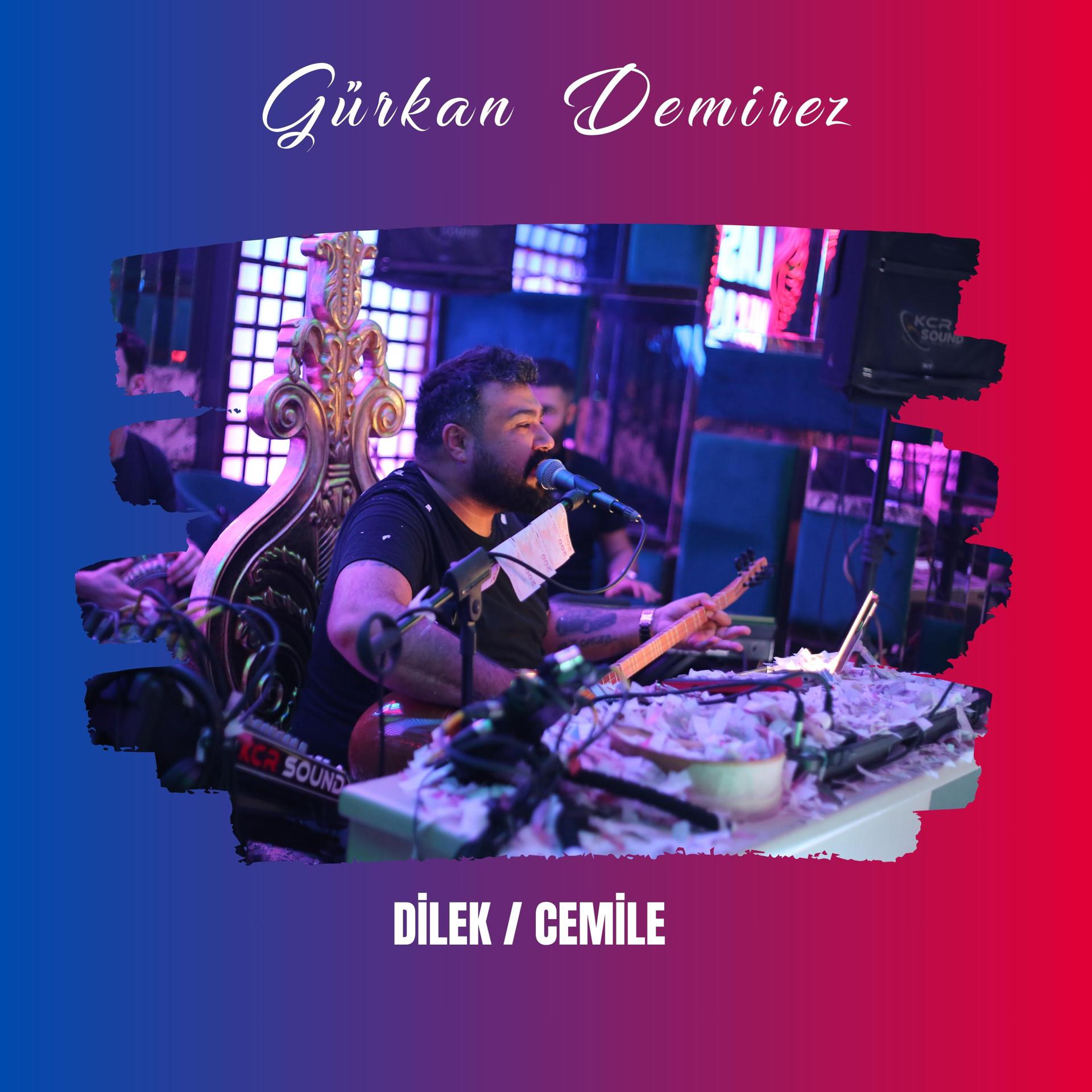 Постер альбома Dilek / Cemile