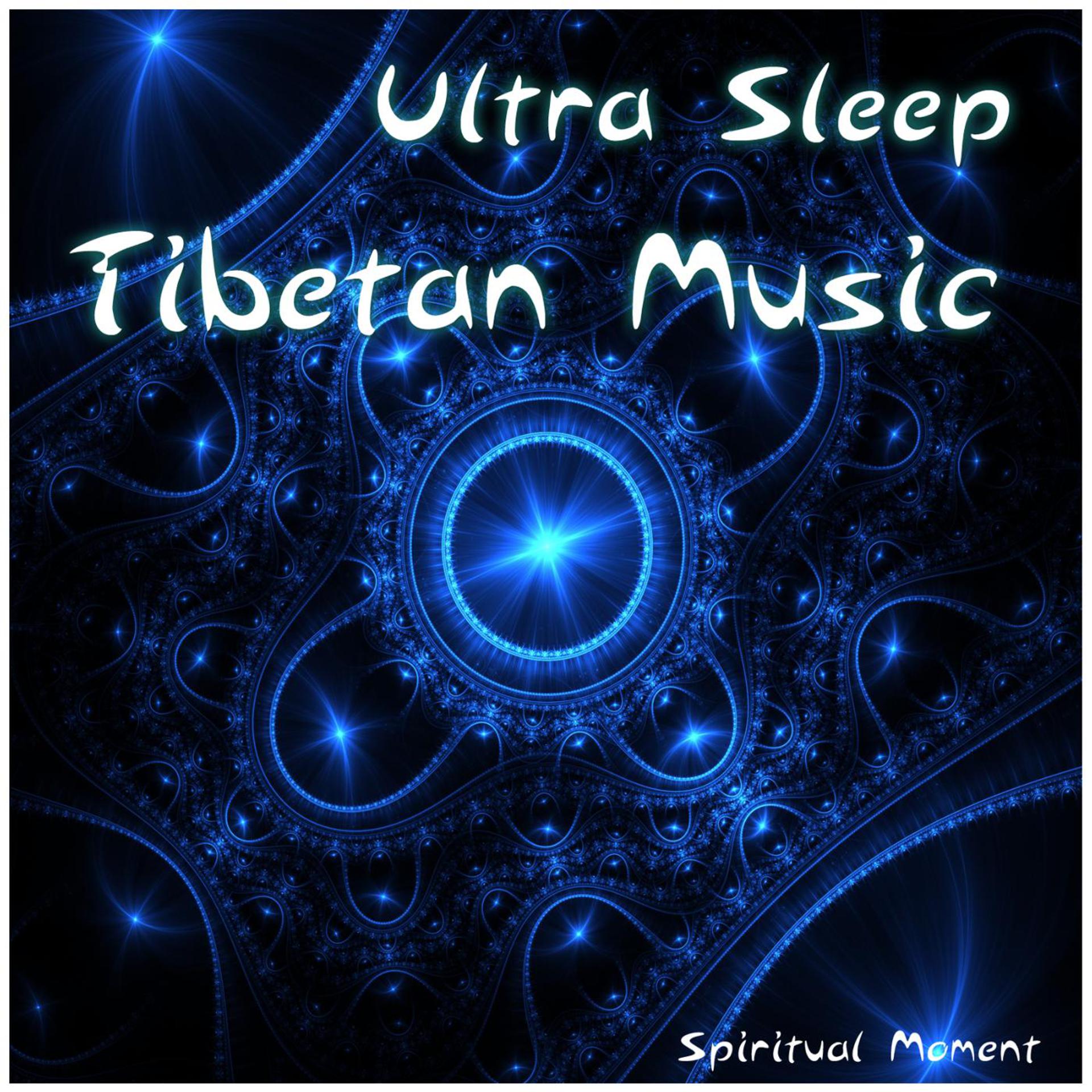 Постер альбома Ultra Sleep Tibetan Music