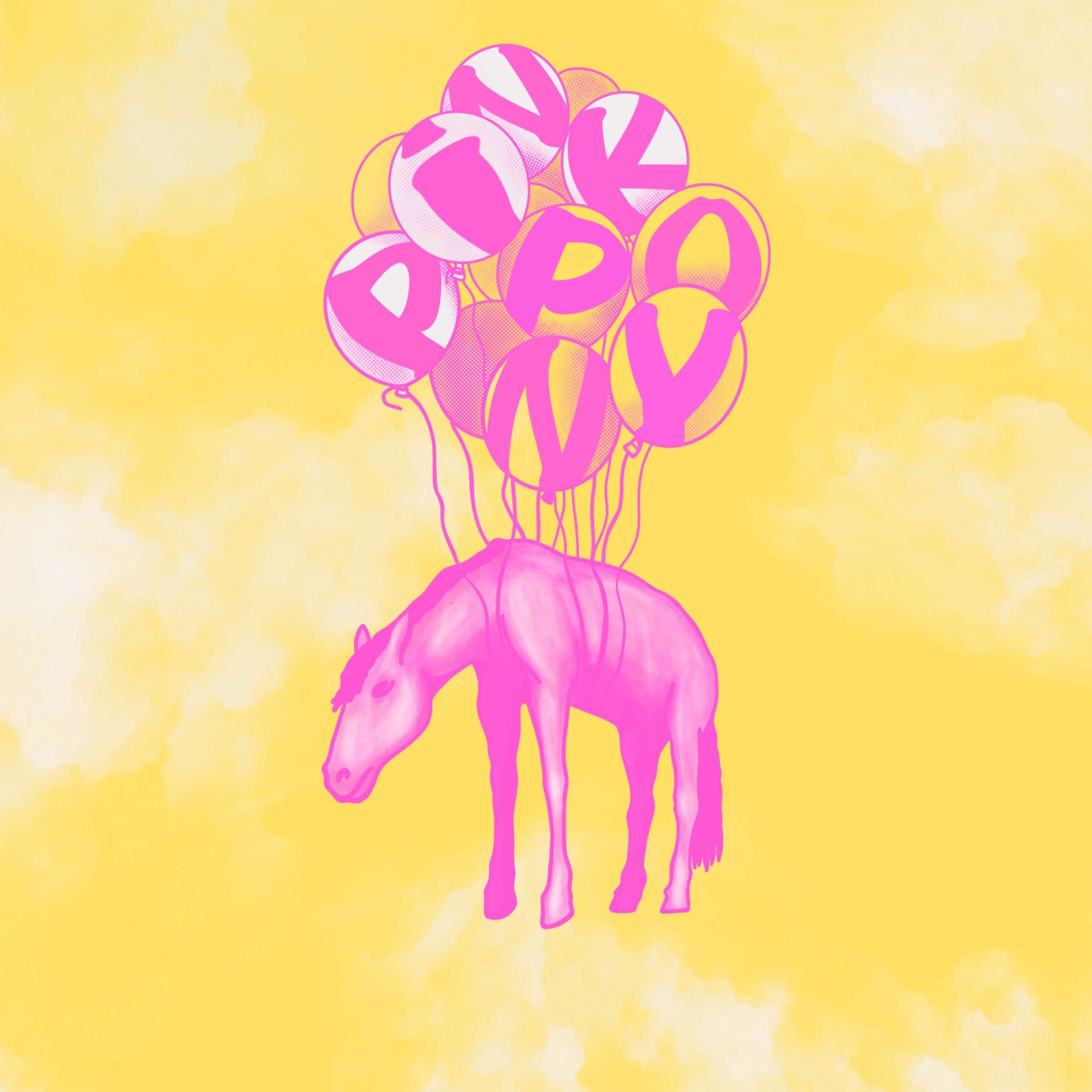 Постер альбома pink pony