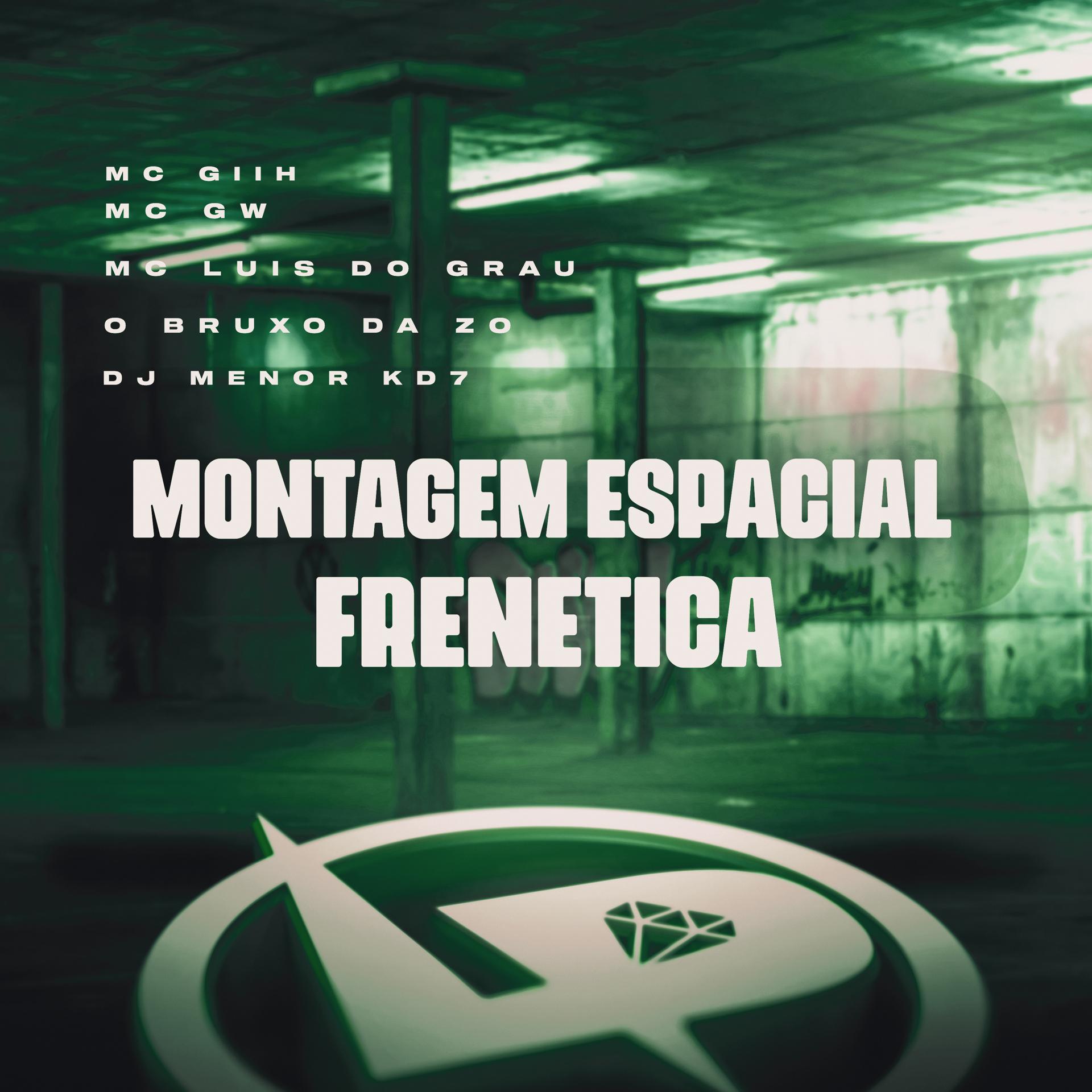 Постер альбома Montagem Espacial Frenetica