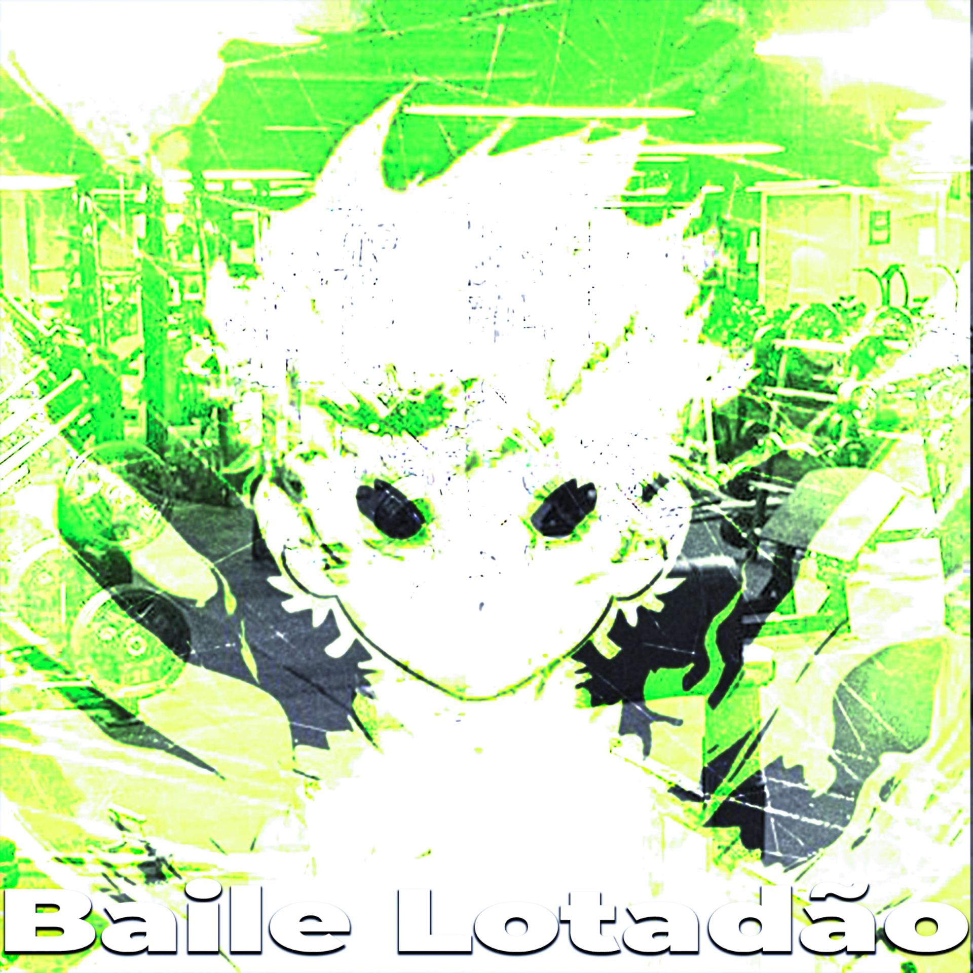 Постер альбома Baile Lotadão