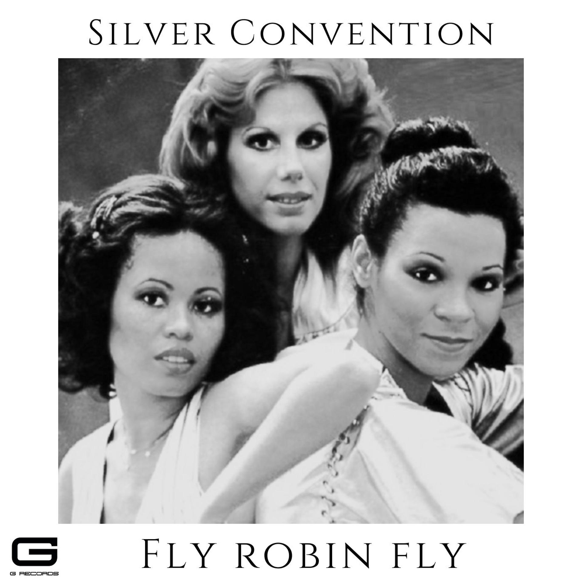 Постер альбома Fly robin fly