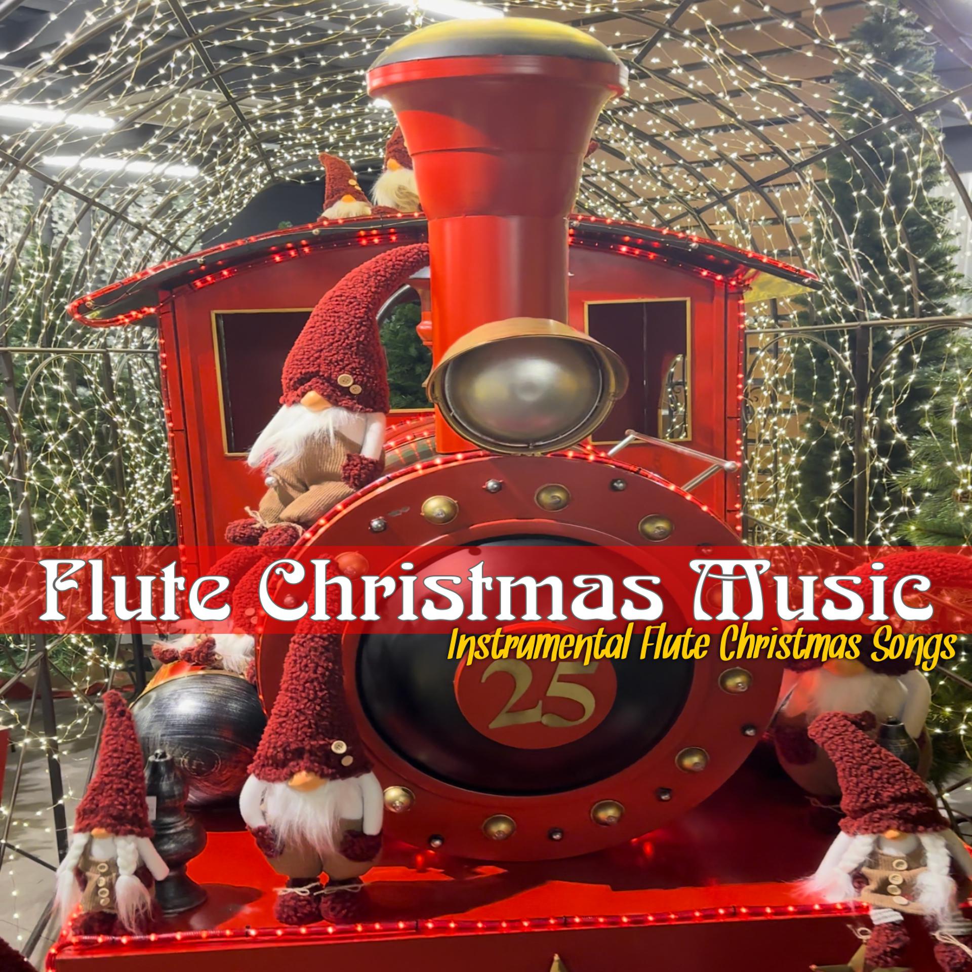 Постер альбома Flute Christmas Music