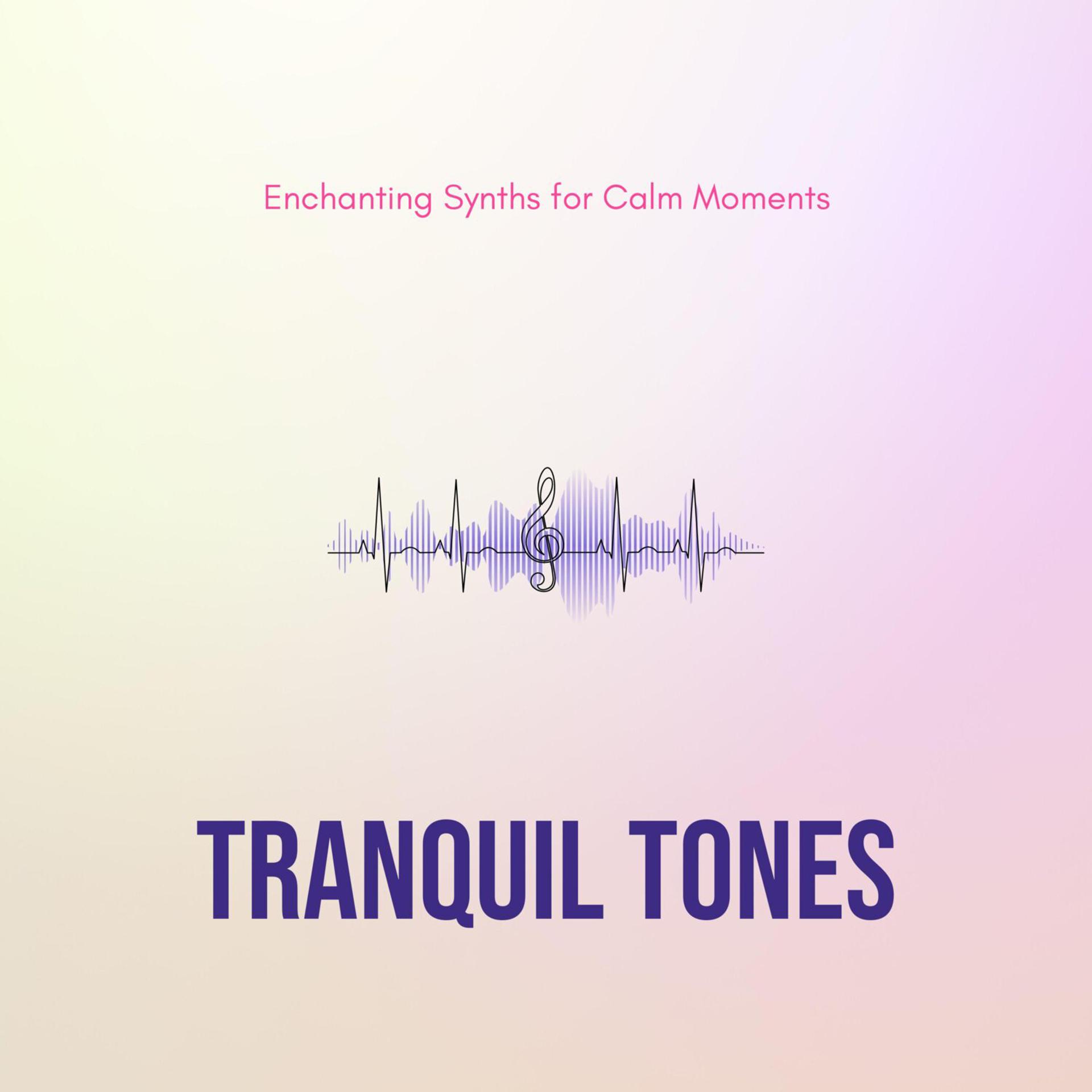 Постер альбома Tranquil Tones - Enchanting Synths for Calm Moments