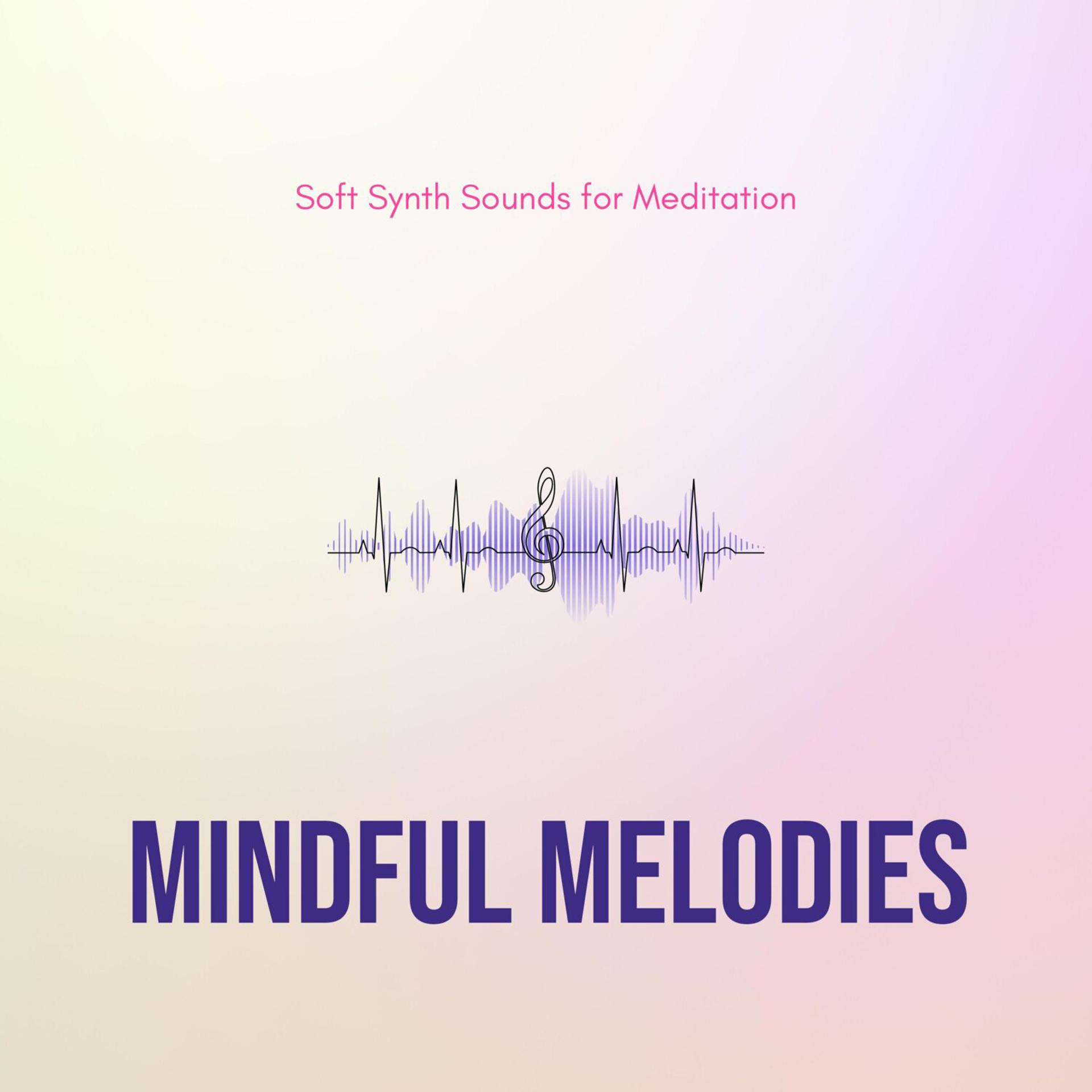 Постер альбома Mindful Melodies - Soft Synth Sounds for Meditation