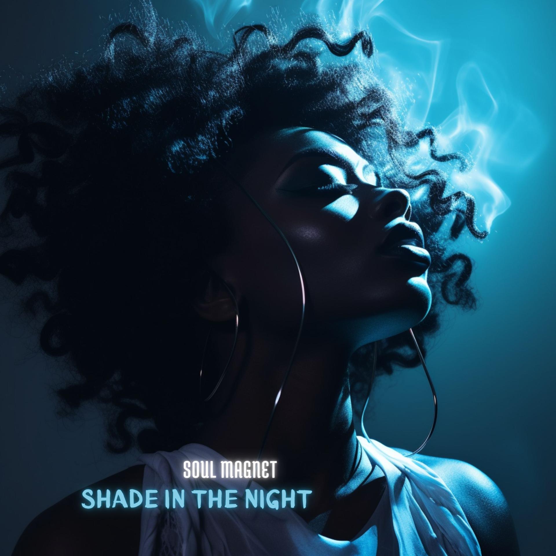 Постер альбома Shade in the Night