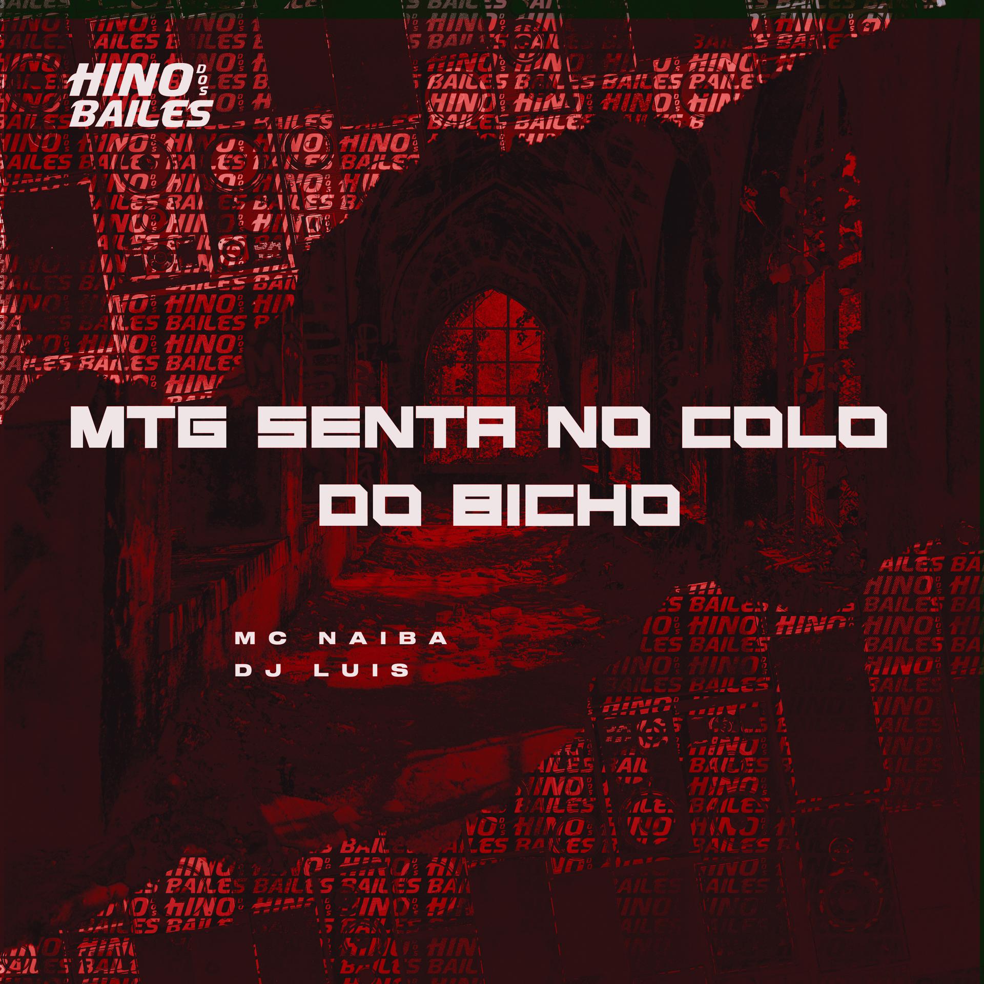 Постер альбома Mtg Senta no Colo do Bicho