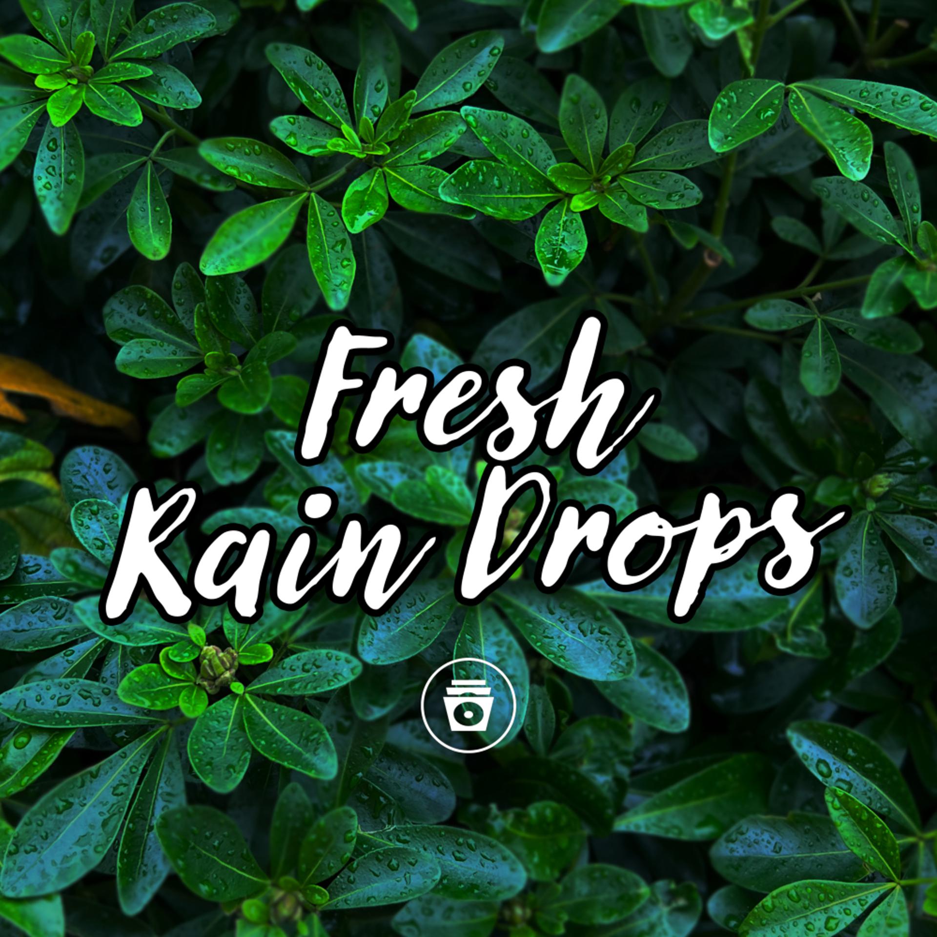 Постер альбома Fresh Rain Drops