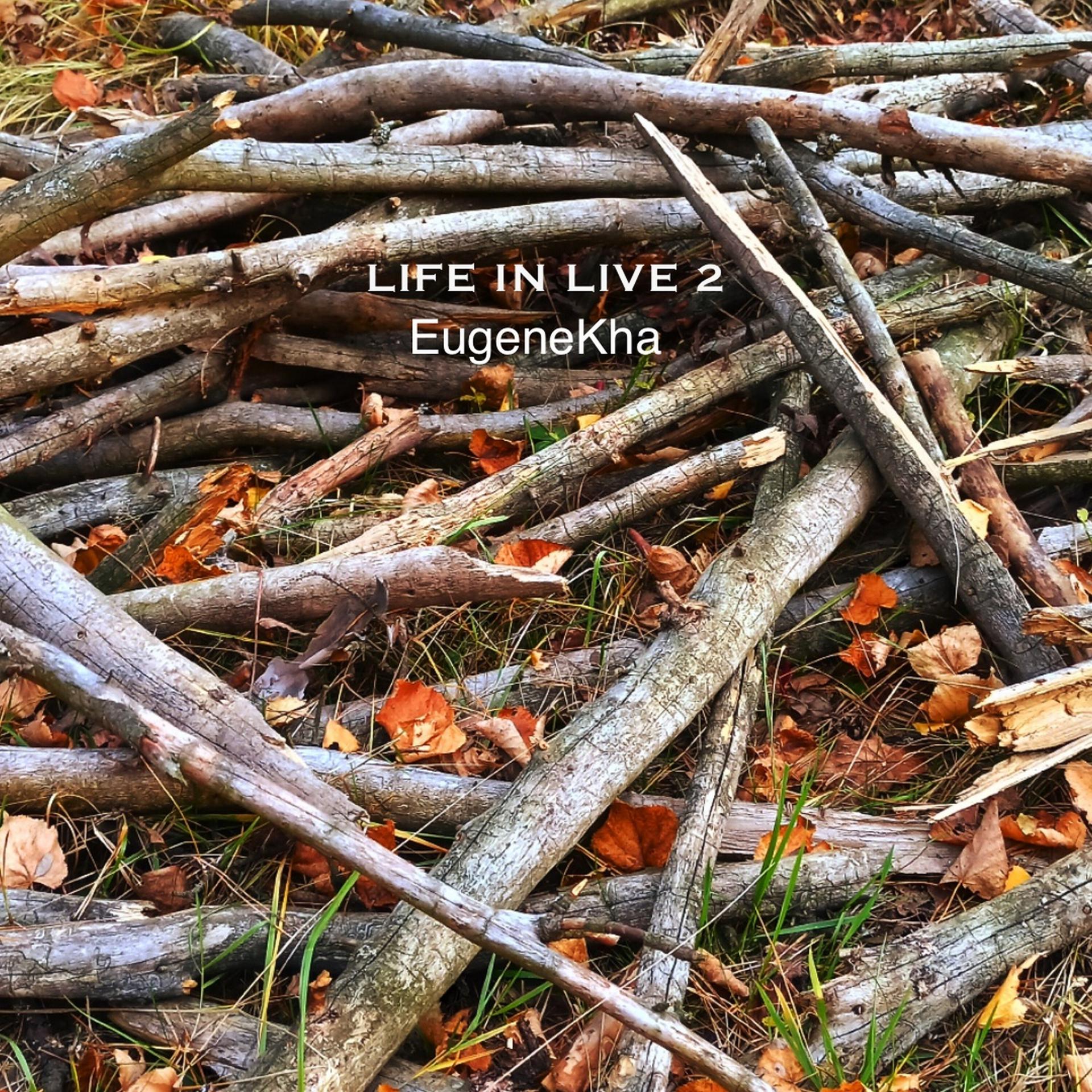 Постер альбома Life in Live 2
