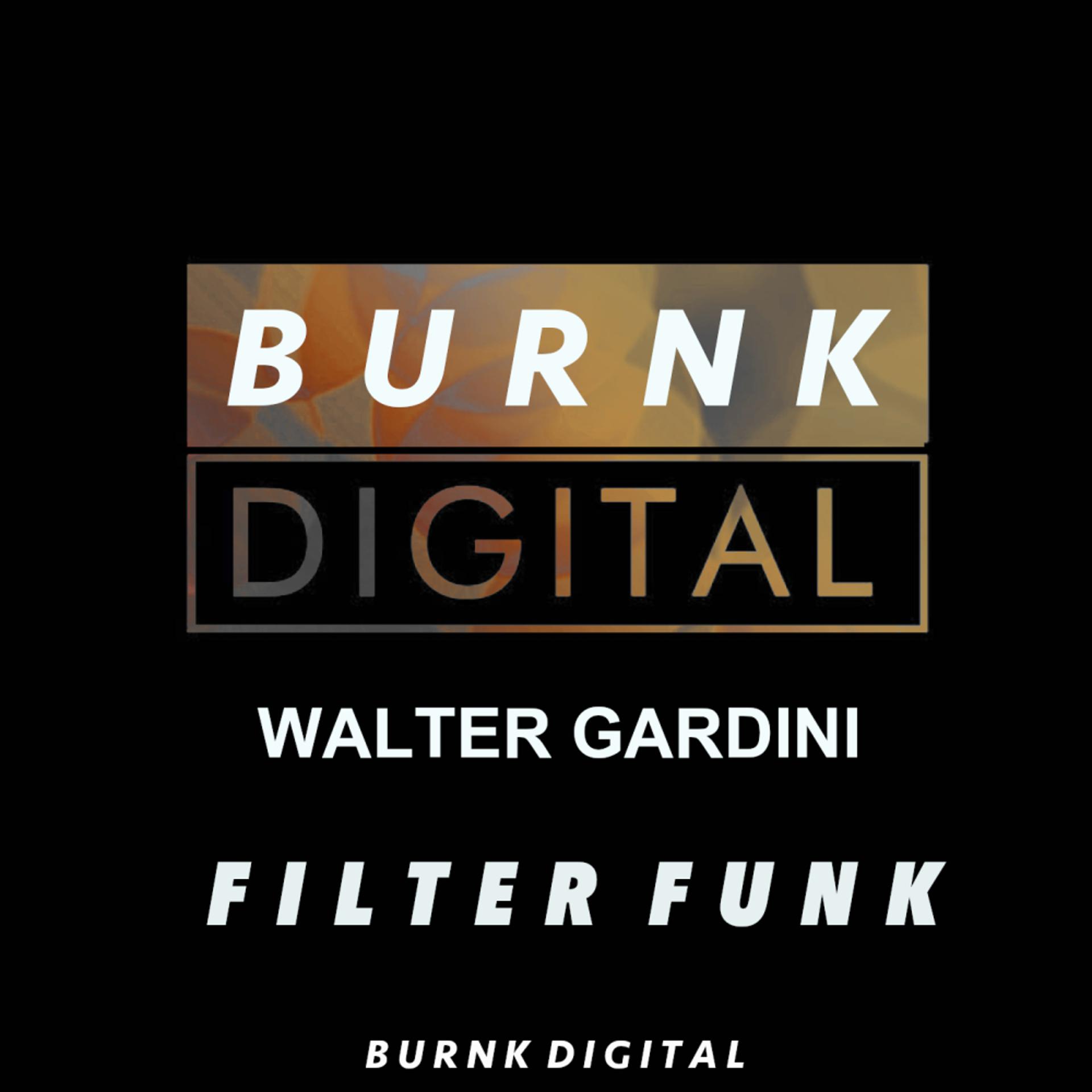 Постер альбома Filter Funk