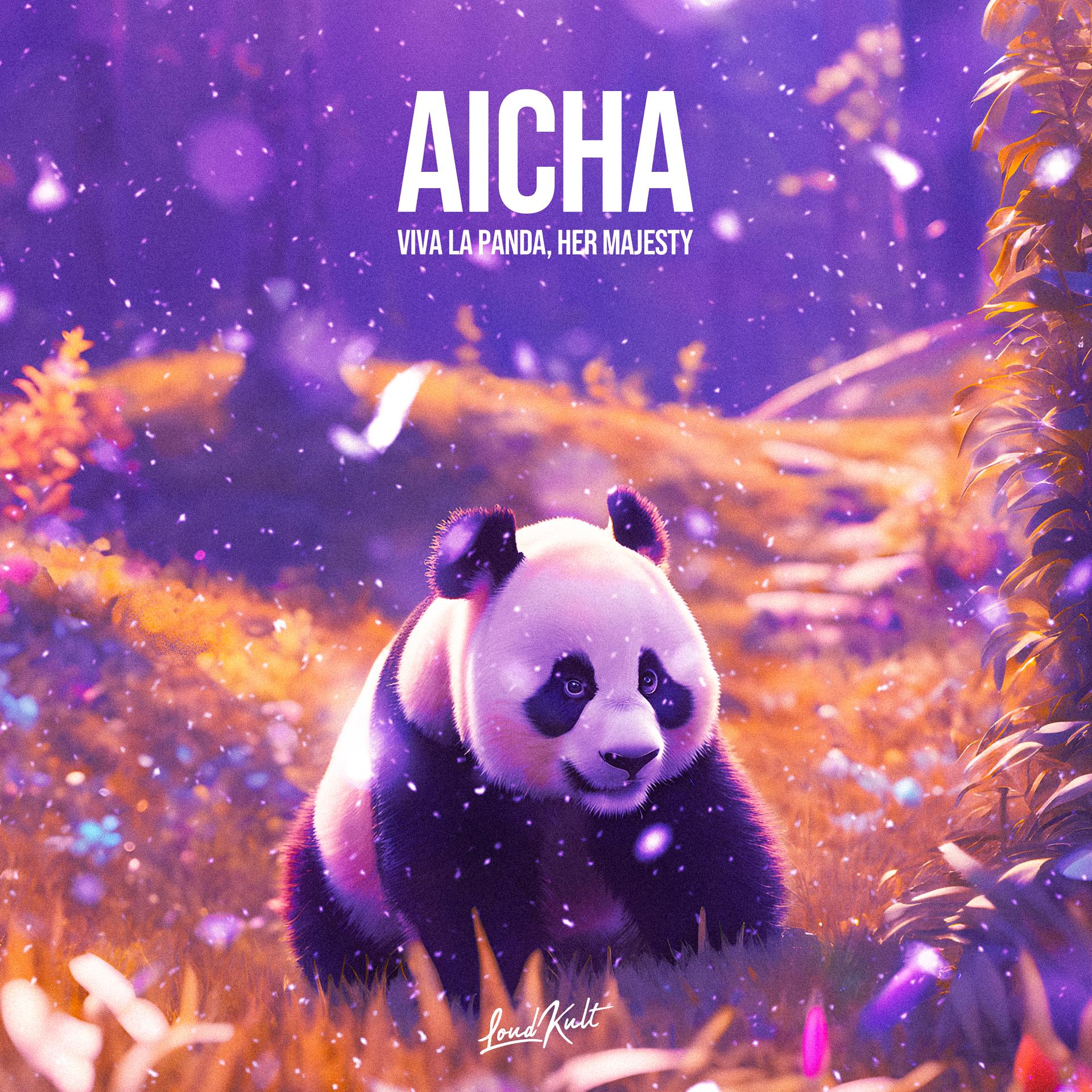 Постер альбома Aicha