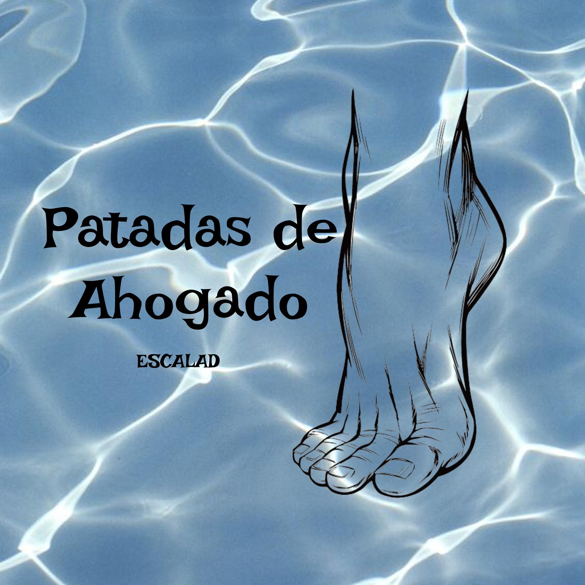 Постер альбома Patadas de Ahogado