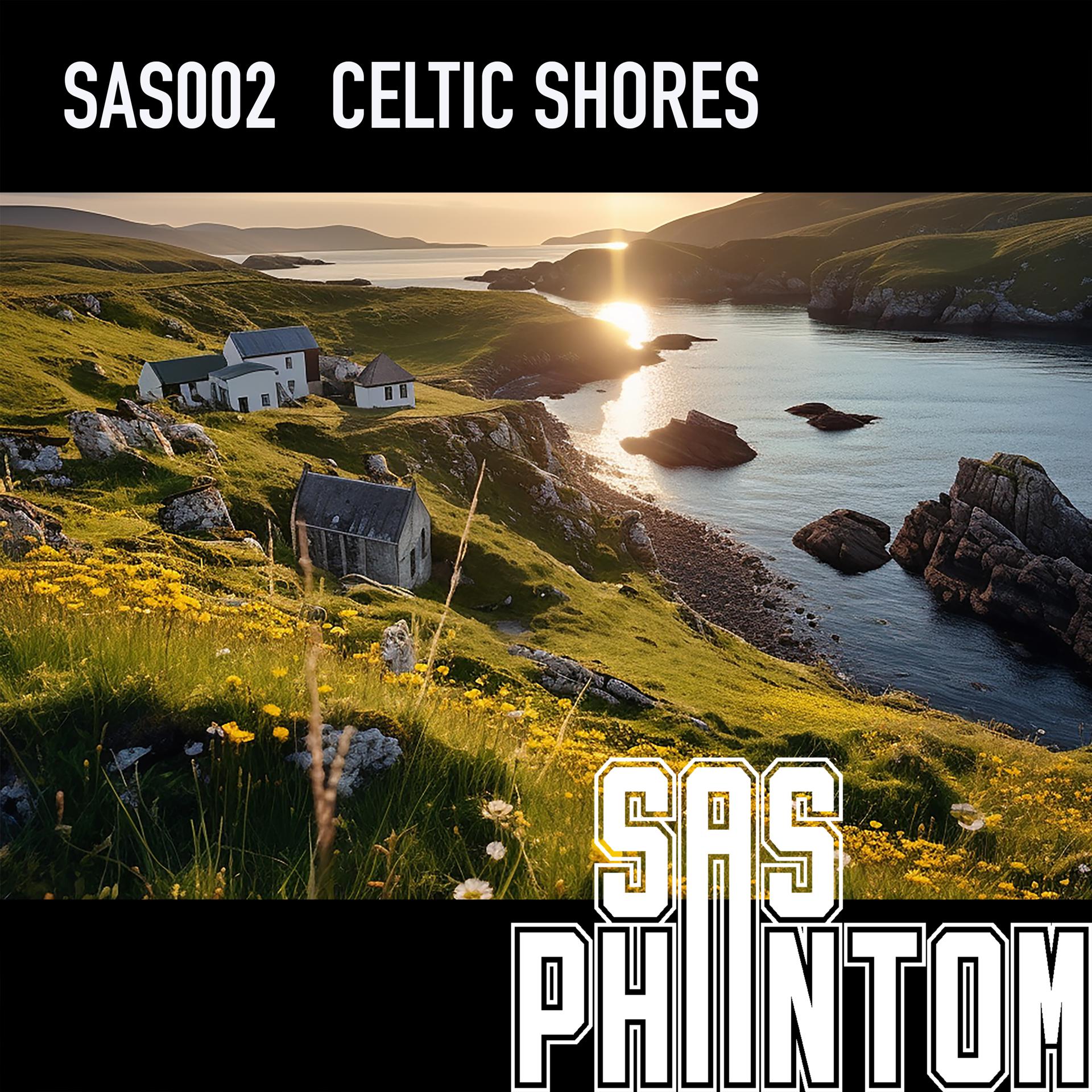 Постер альбома Celtic Shores