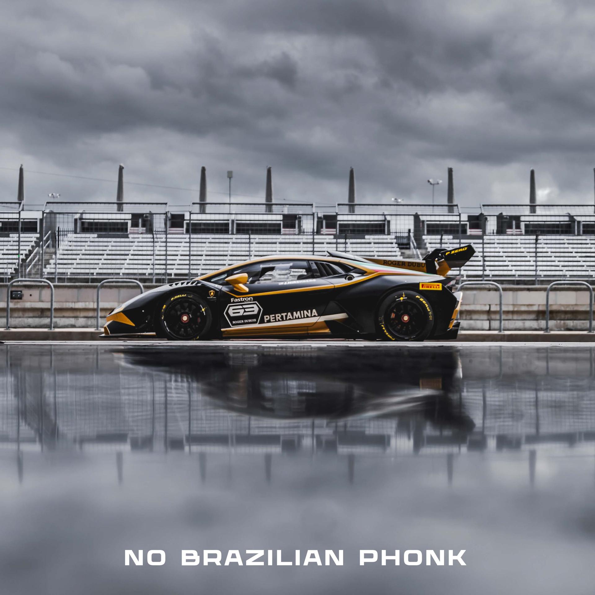 Постер альбома No Brazilian Phonk