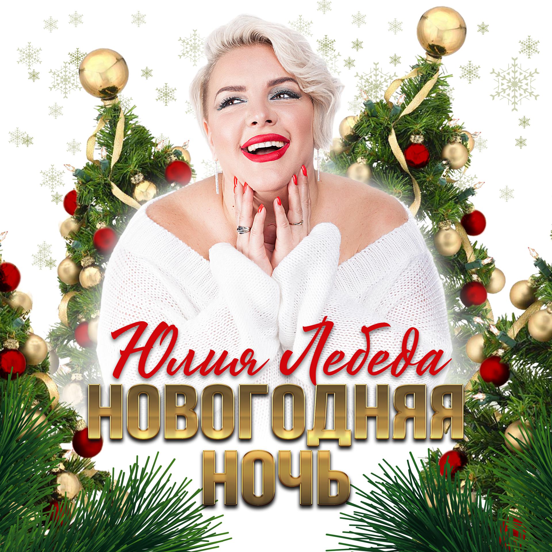 Постер альбома Новогодняя ночь