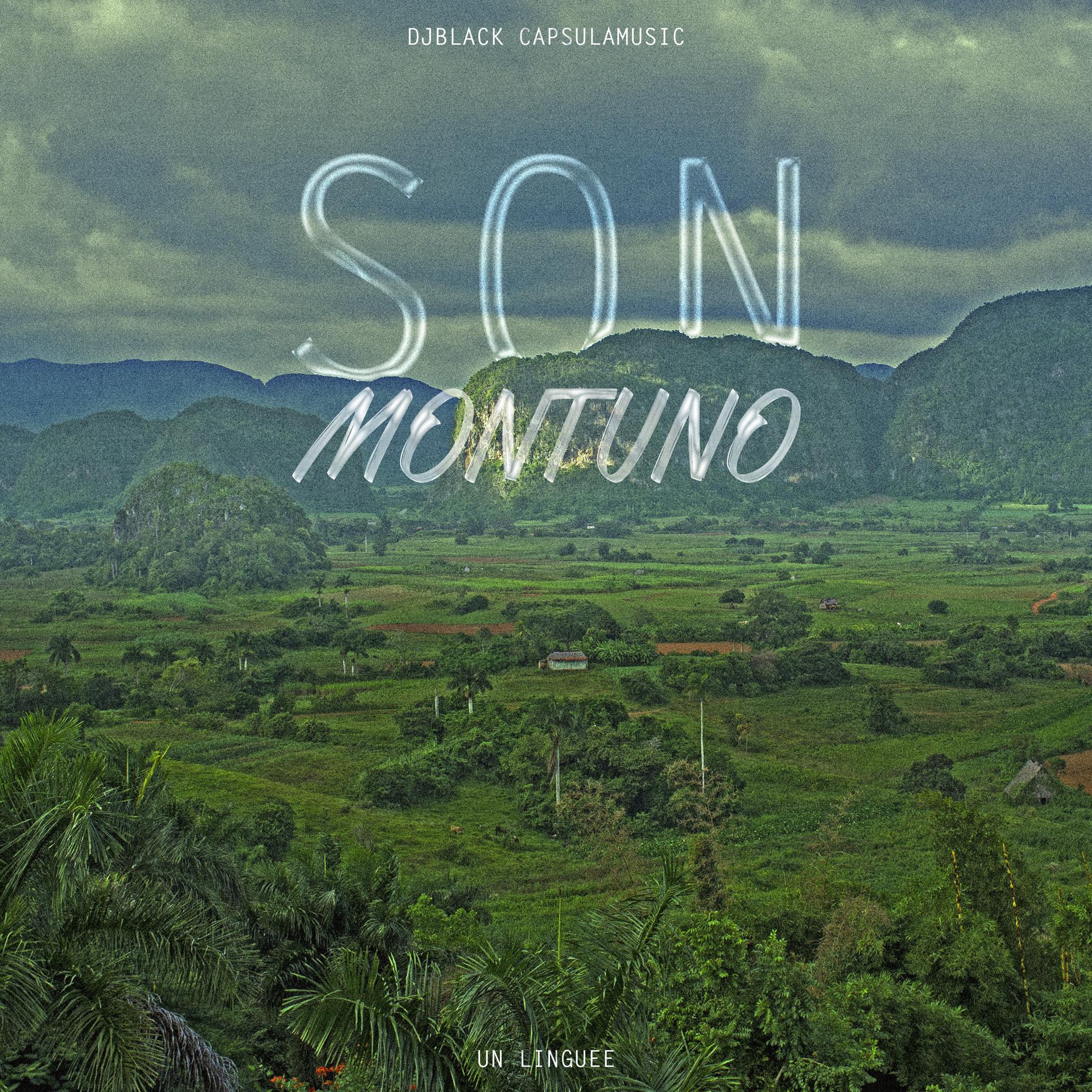 Постер альбома Son Montuno