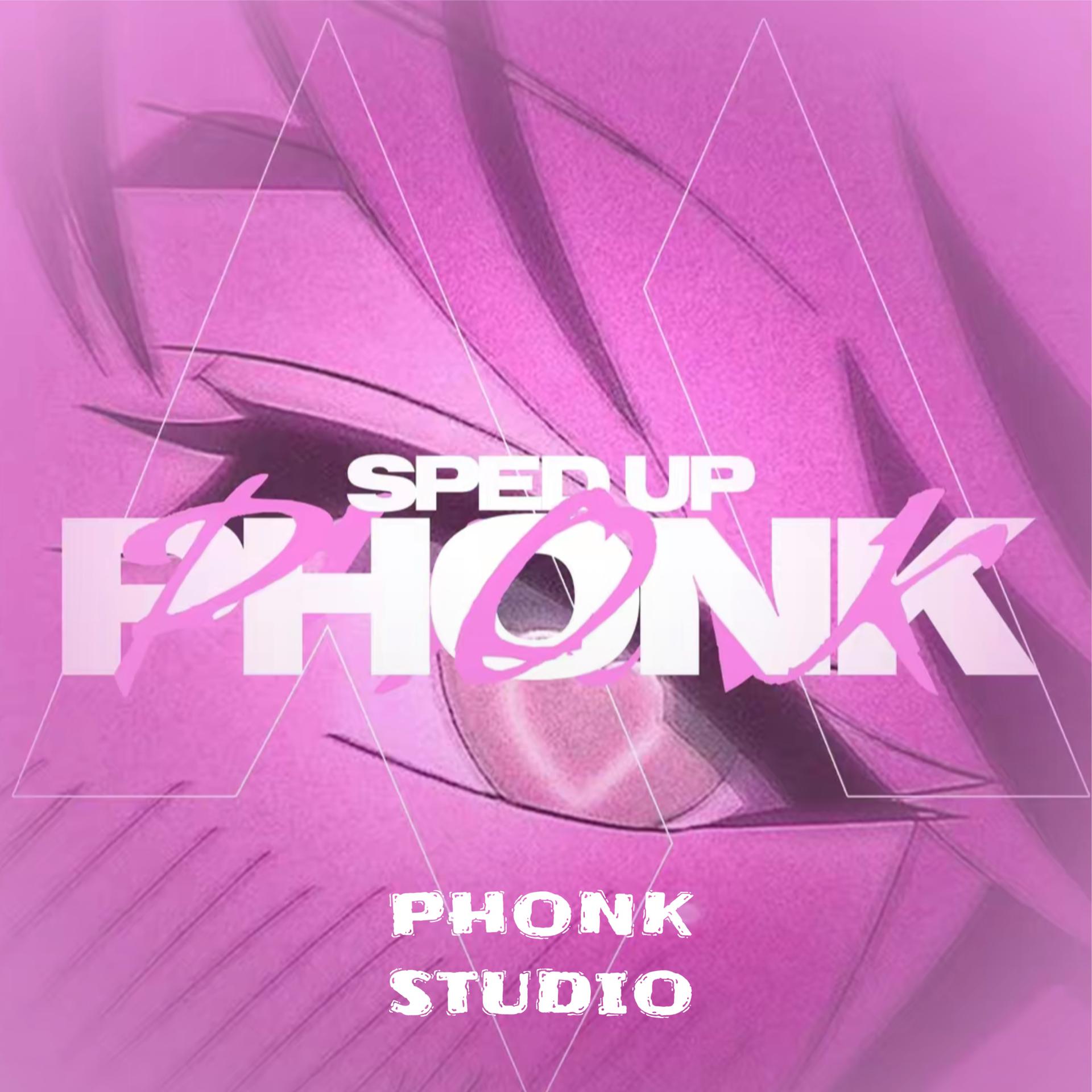 Постер альбома PHONK STUDIO