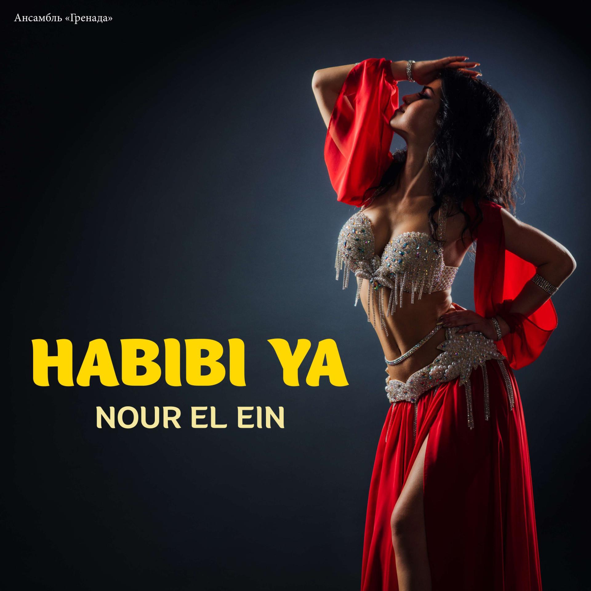 Постер альбома Habibi Ya Nour El Ein