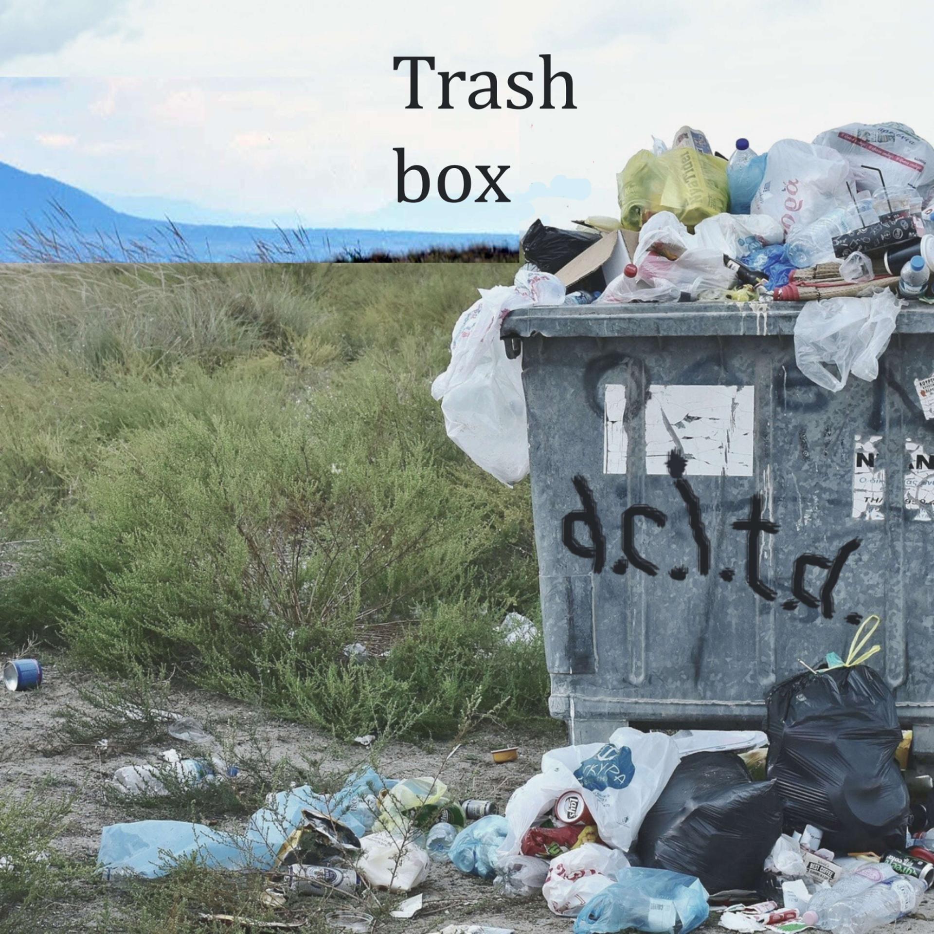 Постер альбома Trash box