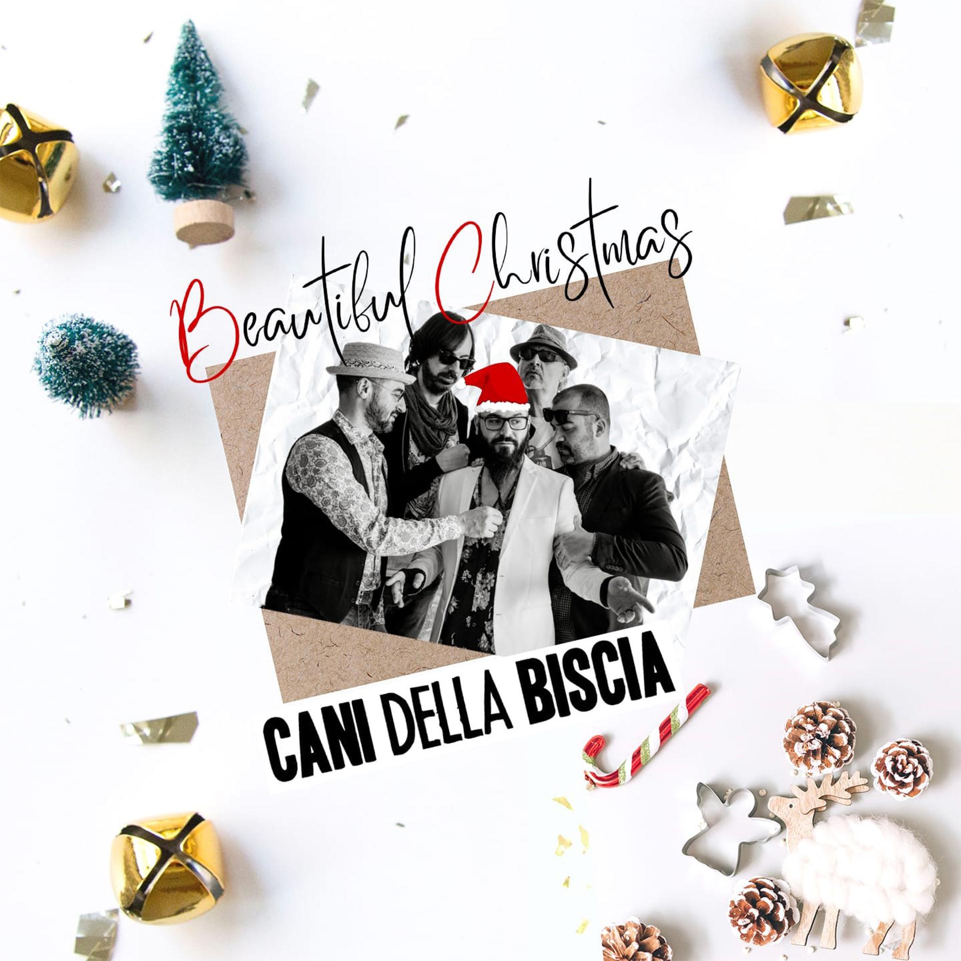 Постер альбома Beautiful Christmas