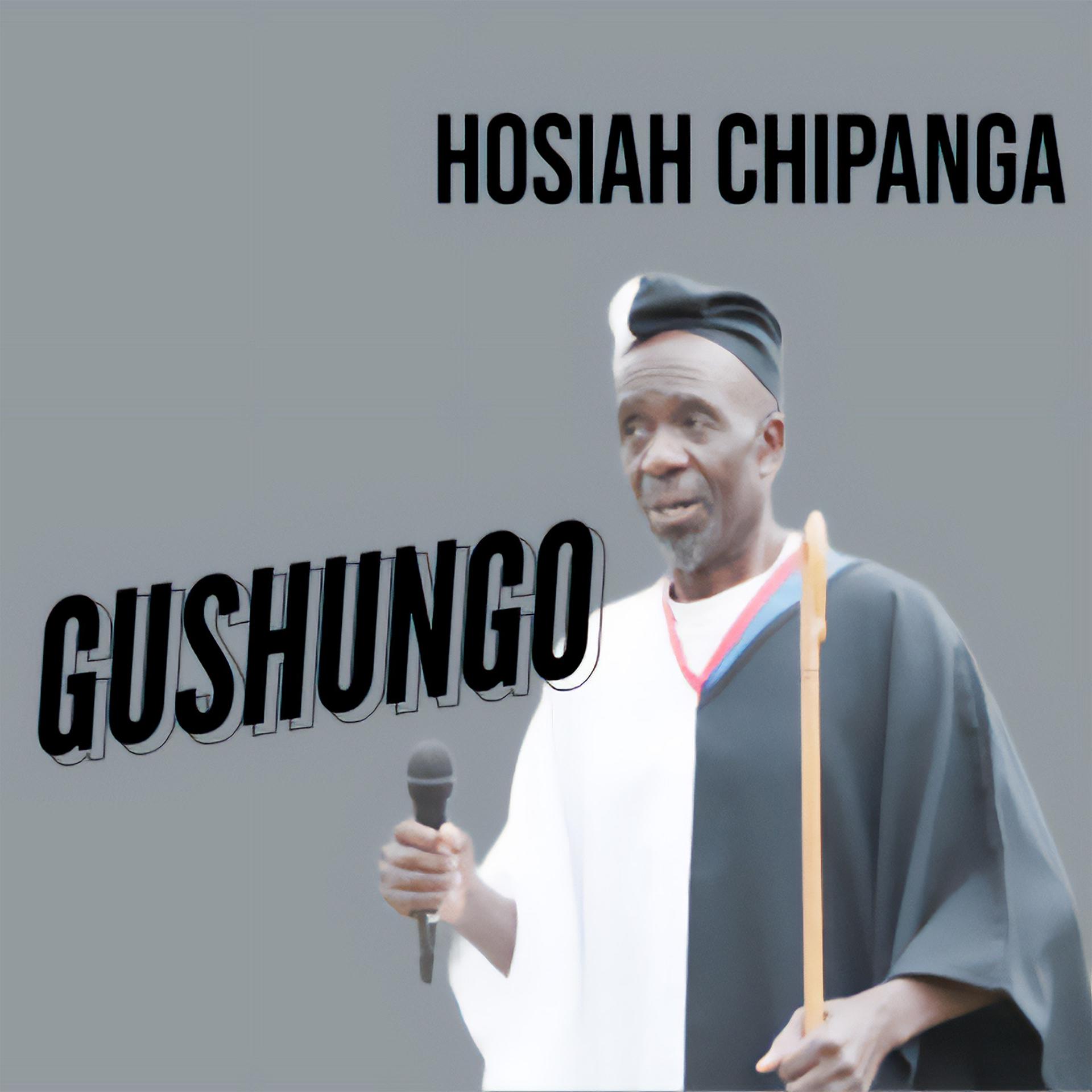 Постер альбома Gushungo