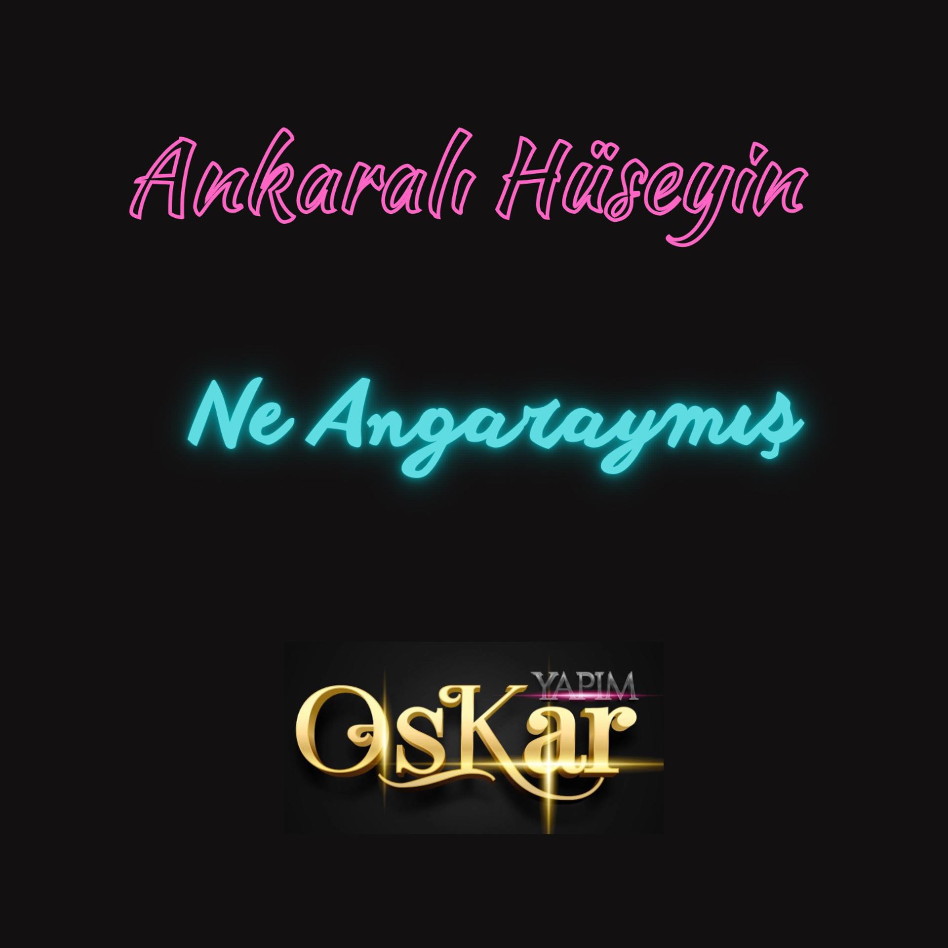 Постер альбома Ne Angaraymış