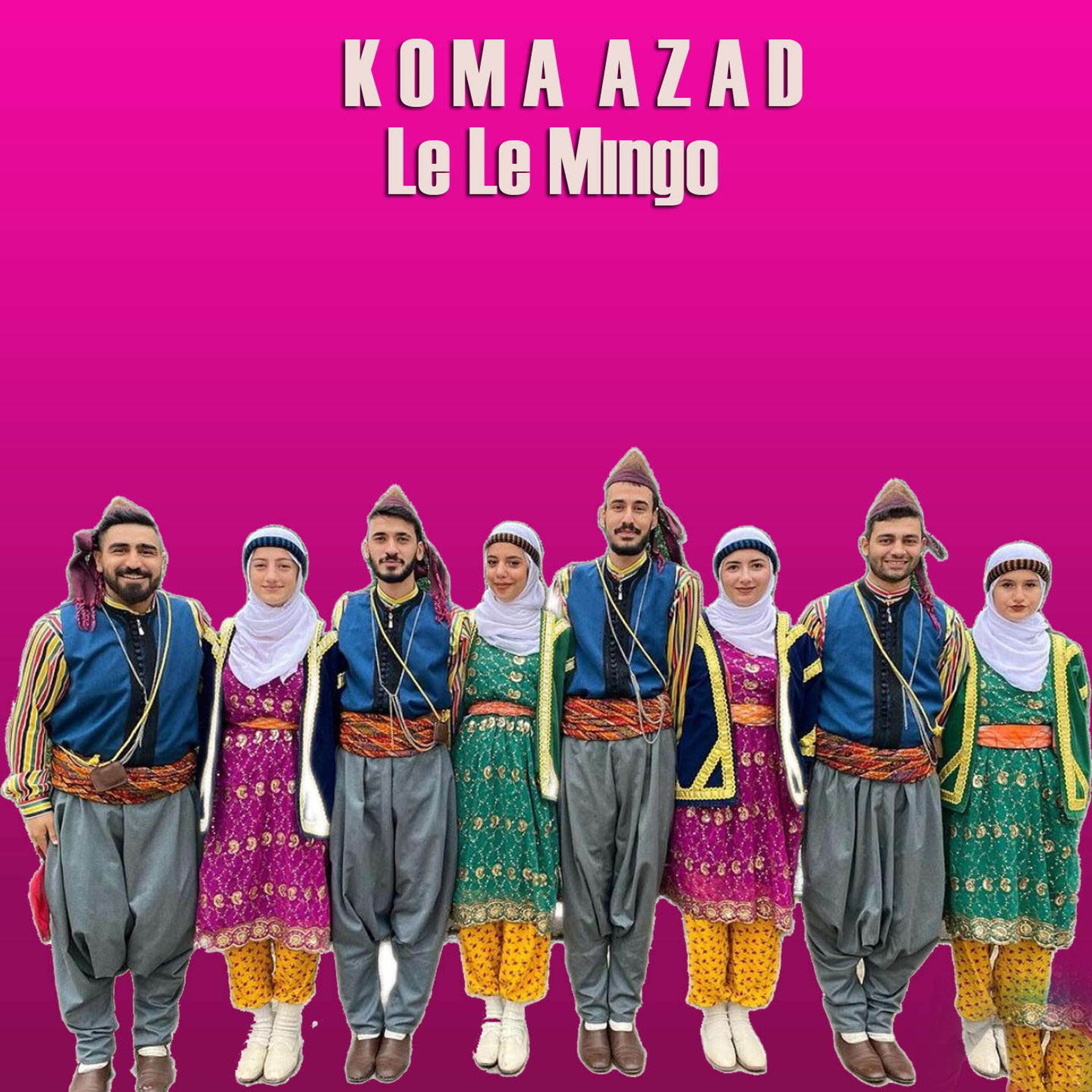 Постер альбома Le Le Mıngo