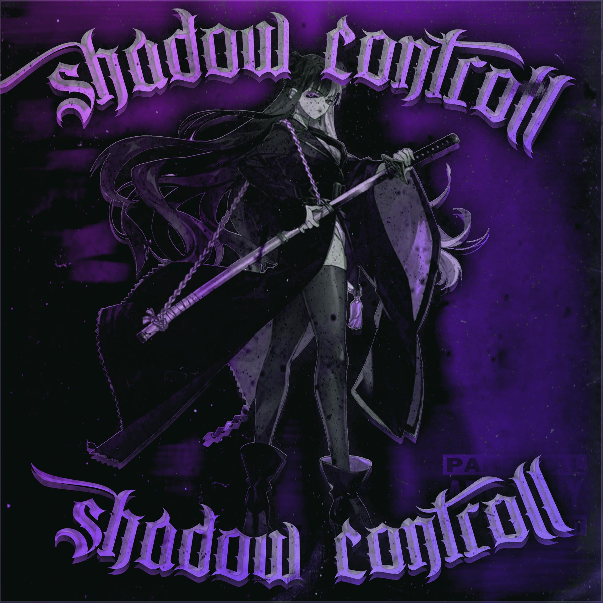 Постер альбома Shwadow Controll