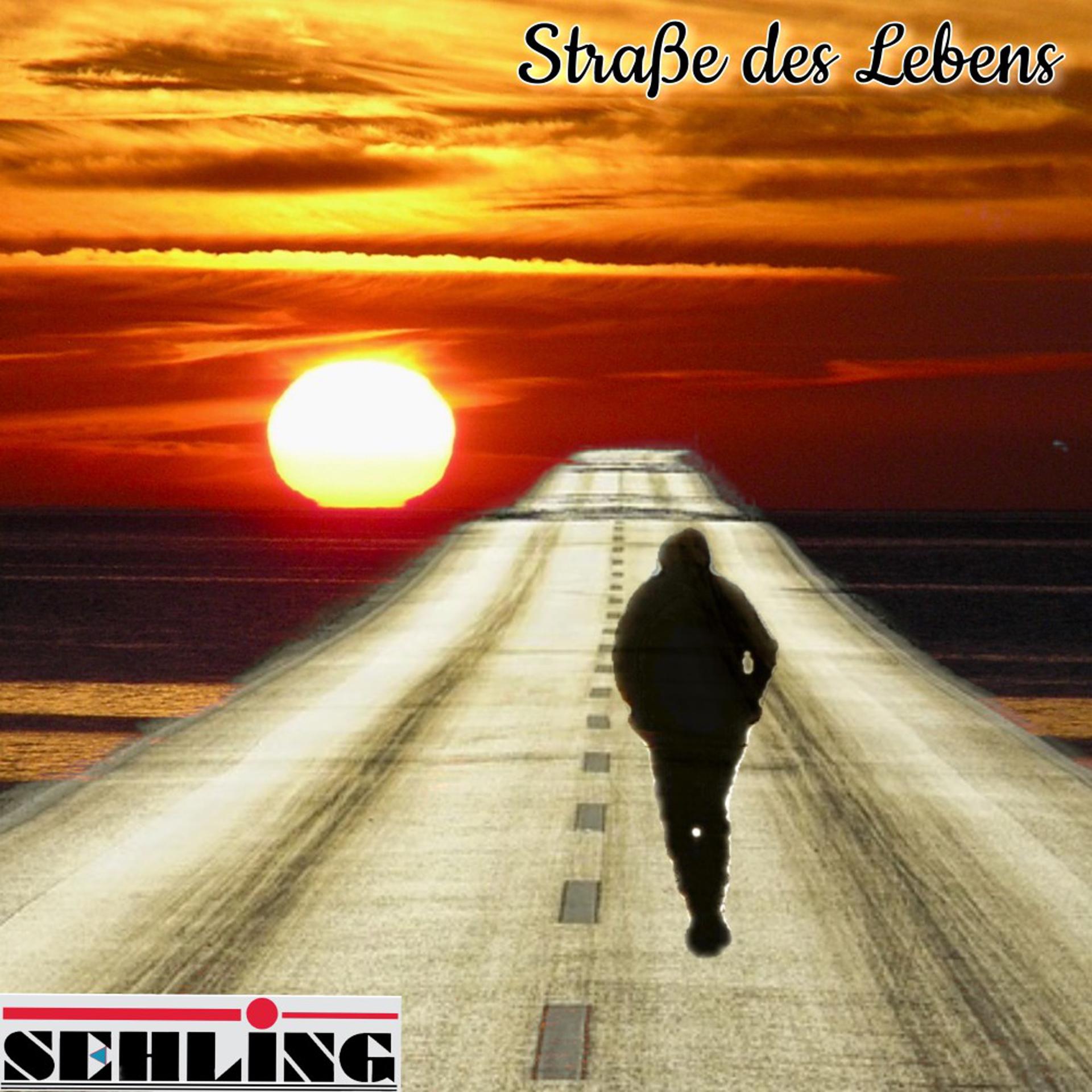Постер альбома Straße des Lebens
