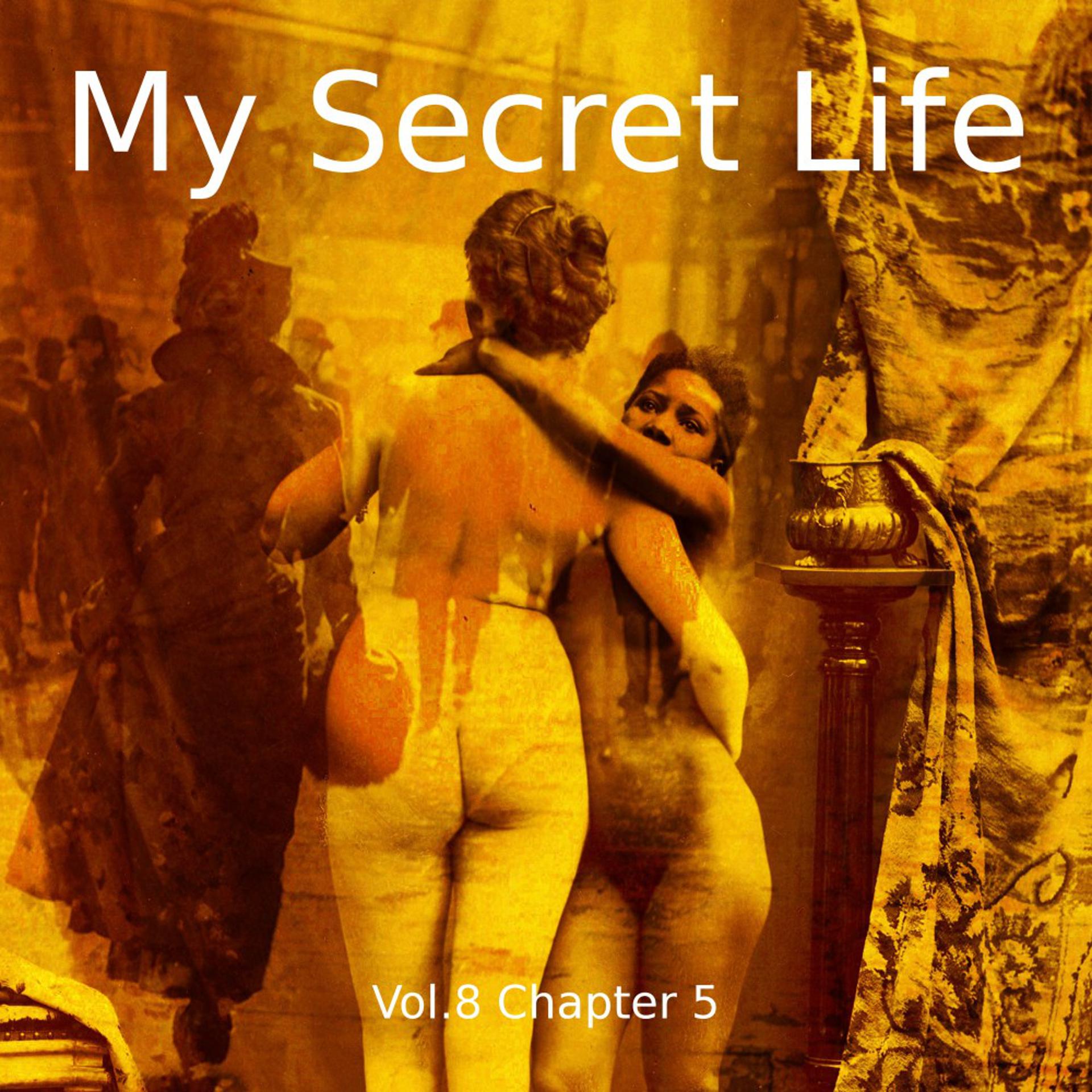 Постер альбома My Secret Life, Vol. 8 Chapter 5