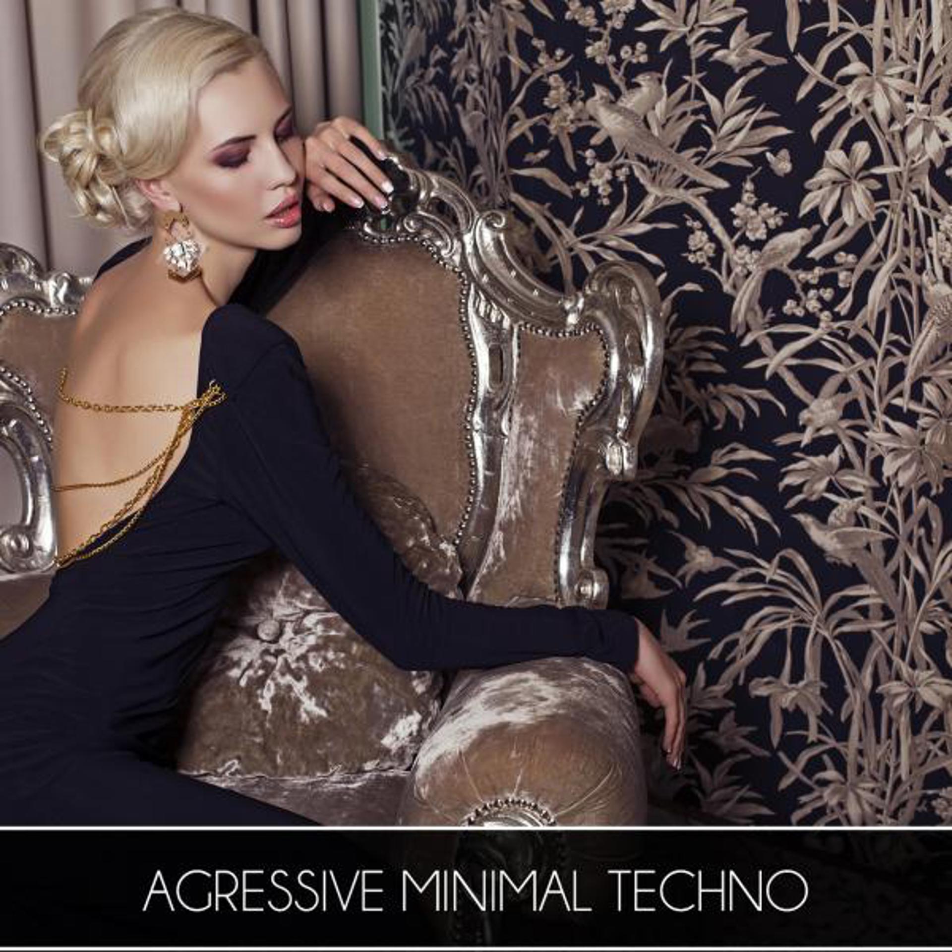 Постер альбома Agressive Minimal Techno