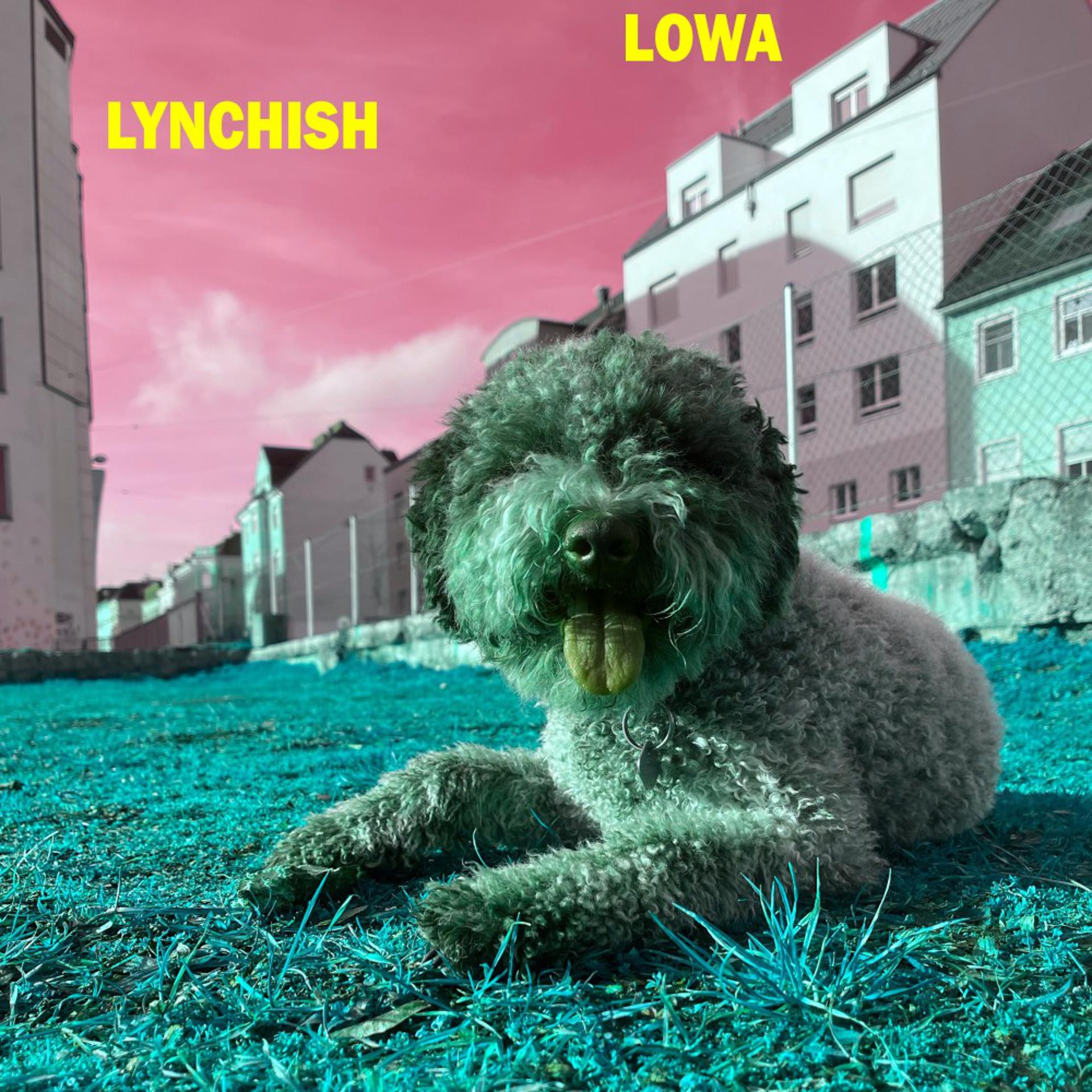 Постер альбома Lynchish