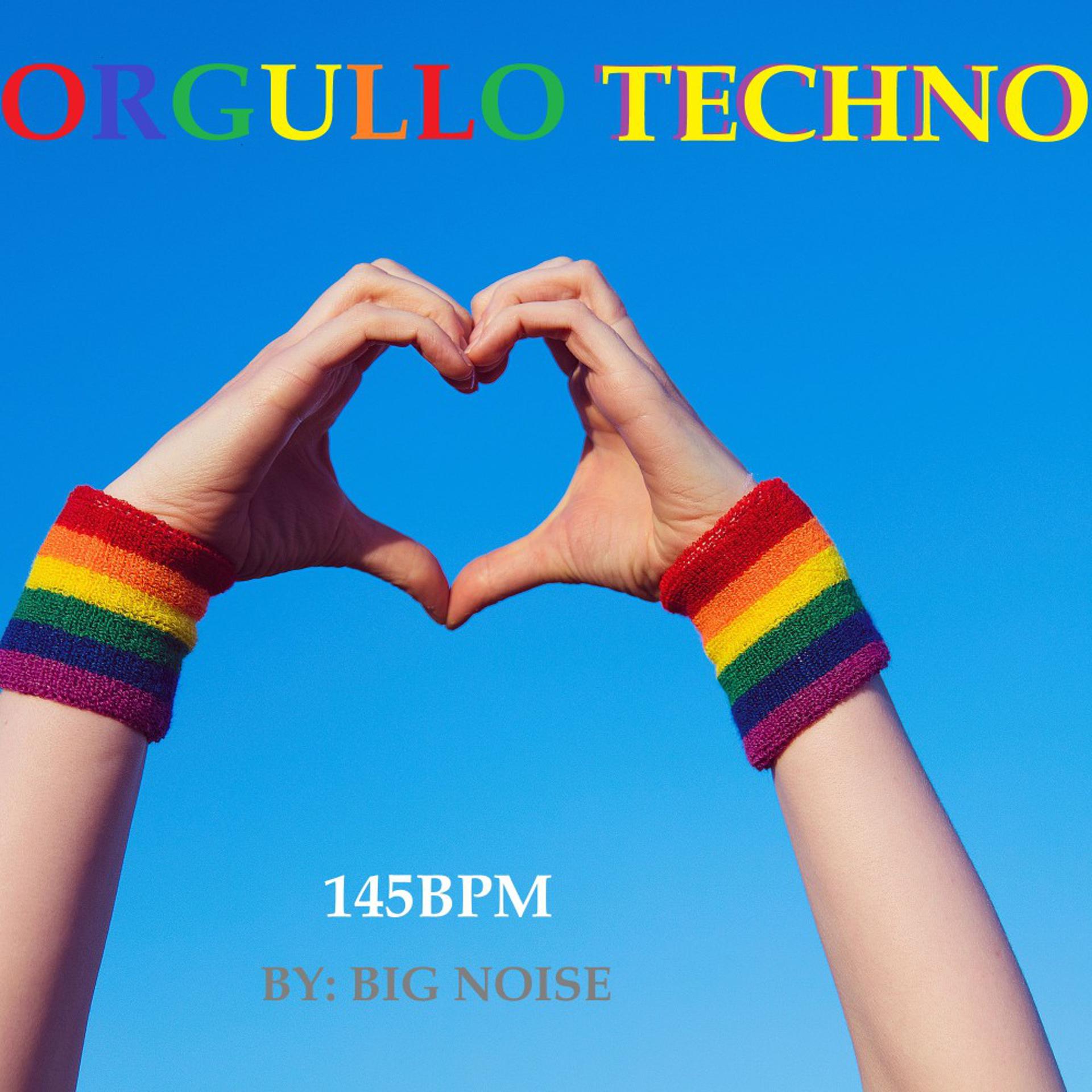 Постер альбома Orgullo Techno