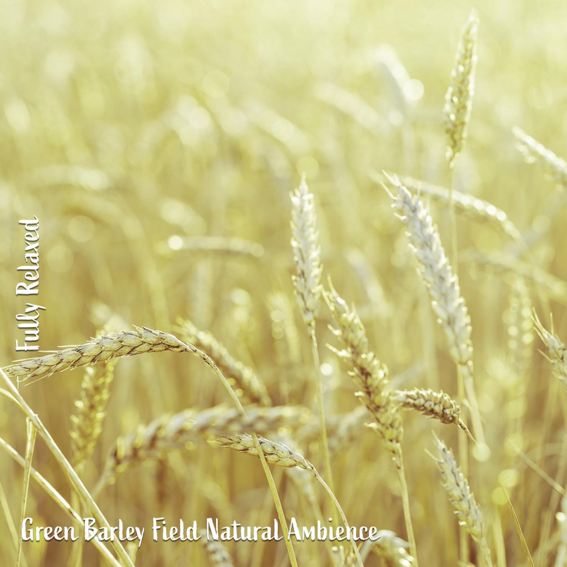 Постер альбома Fully Relaxed: Green Barley Field Natural Ambience