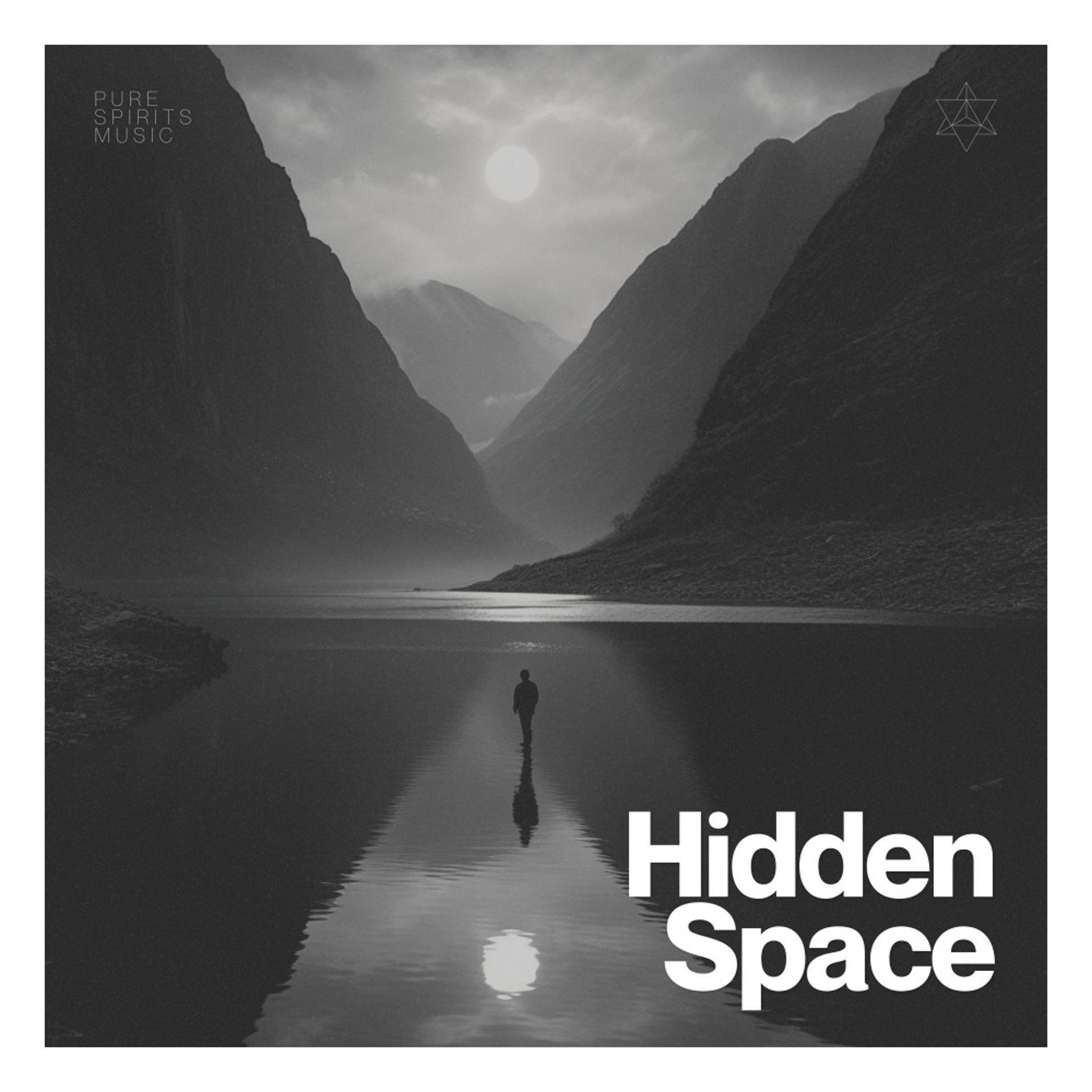 Постер альбома Hidden Space