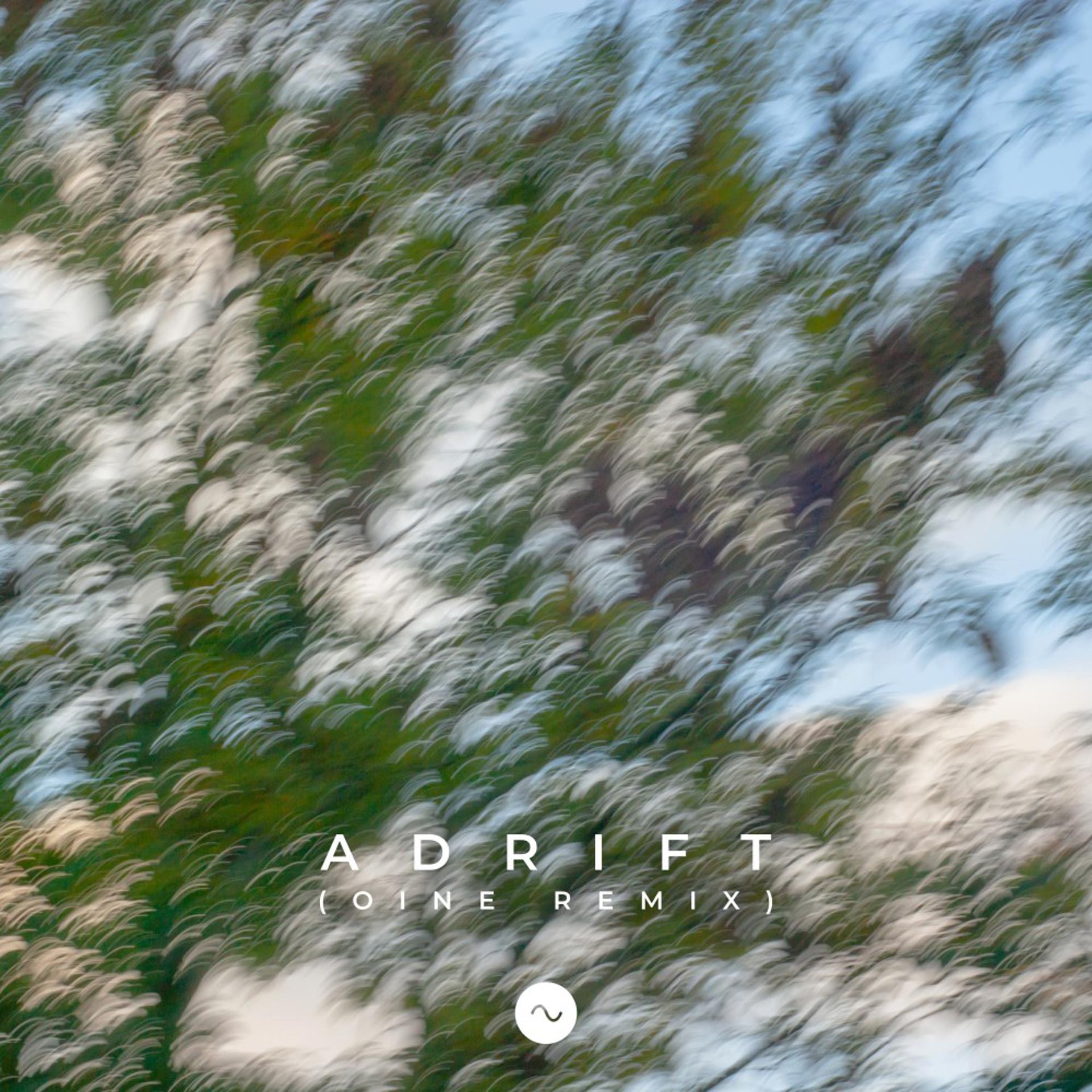 Постер альбома Adrift (Oine Remix)