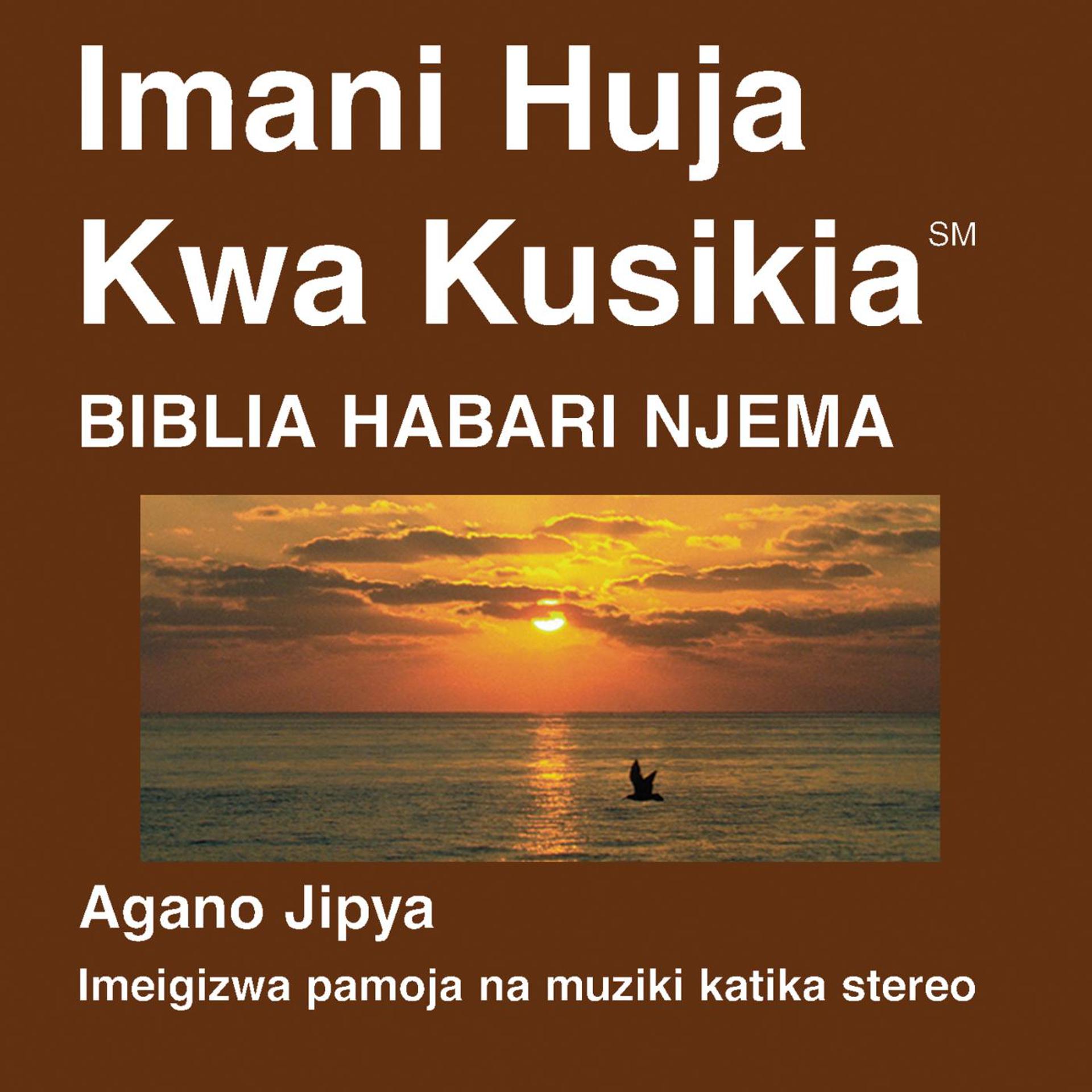 Постер альбома Kiswahili New Testament (Umetiwa Chumvi) Habari Njema (Interconfessional) - Kiswahili Bible