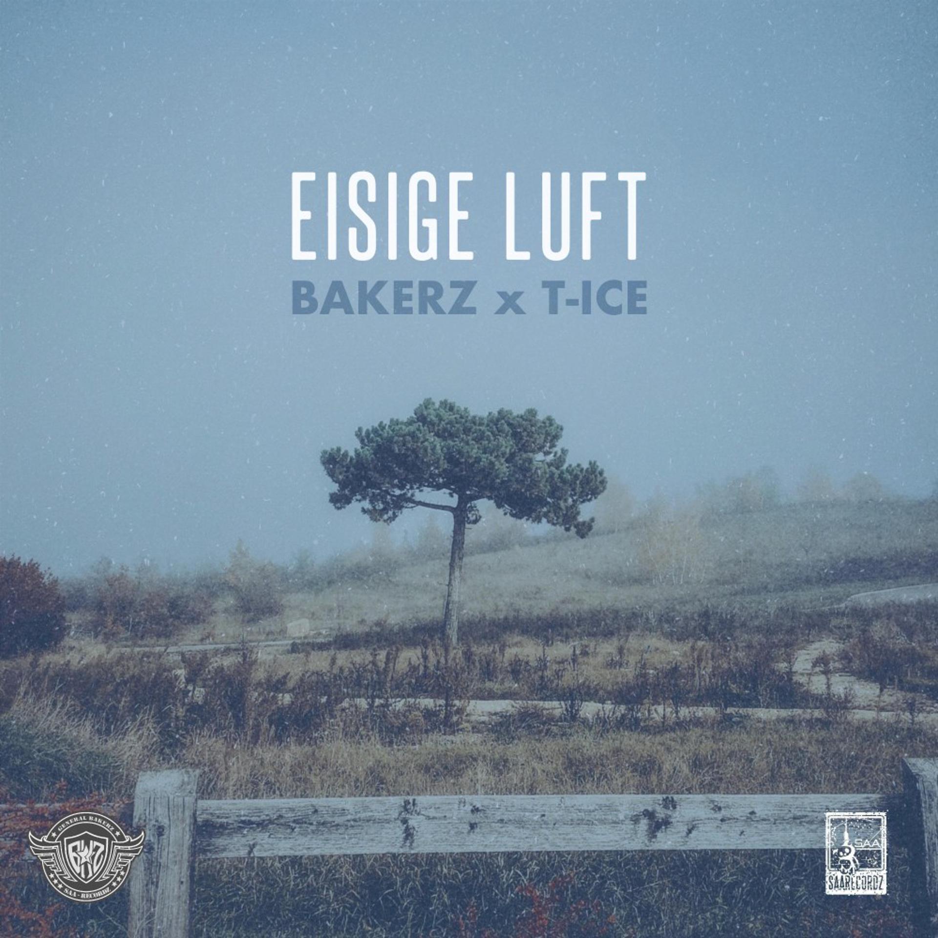 Постер альбома Eisige Luft