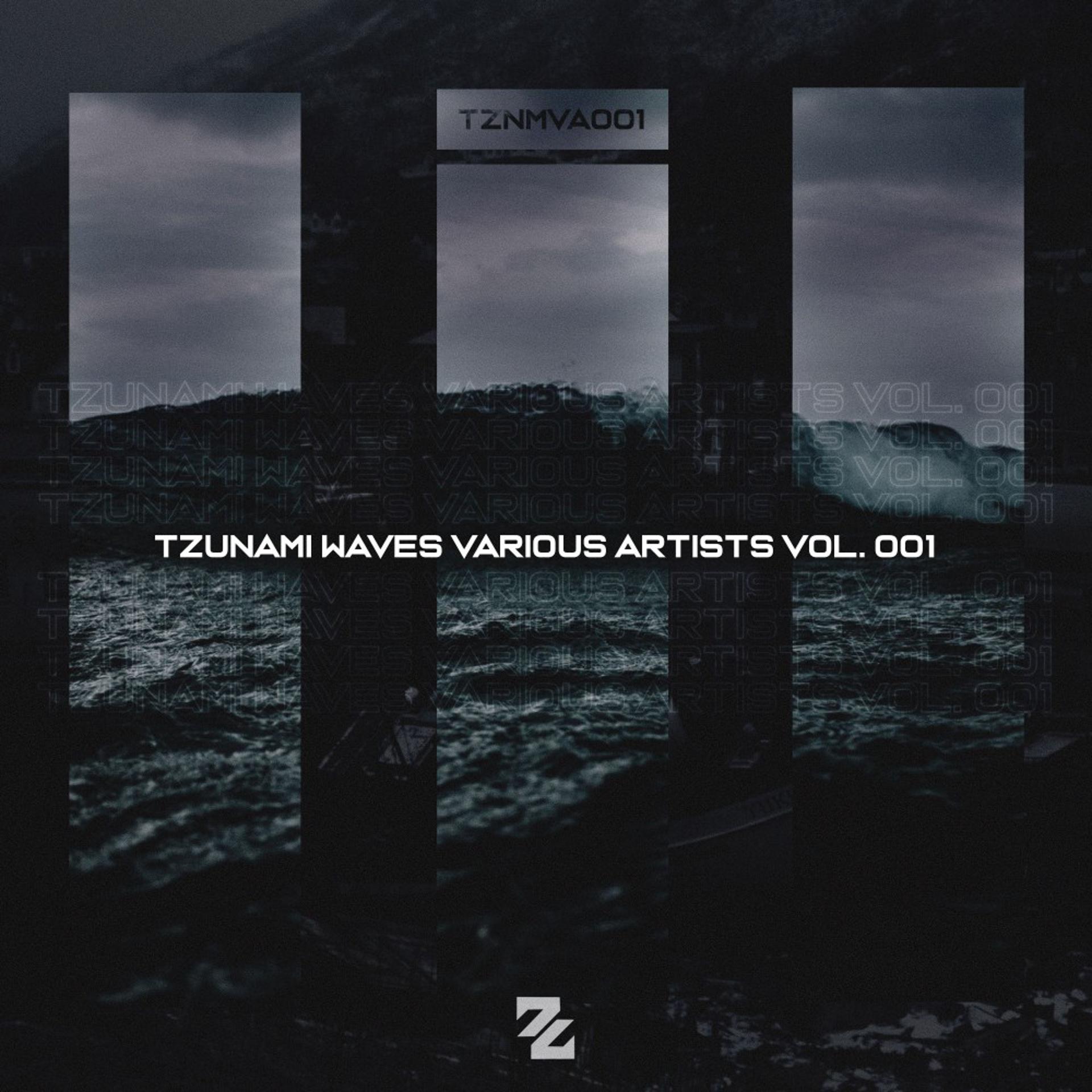 Постер альбома Tzunami Waves Various Artists, Vol. 1