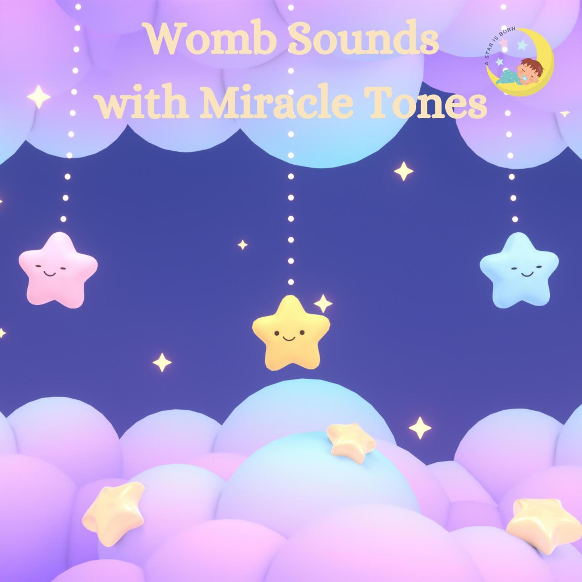 Постер альбома Womb Sounds with Miracle Tones
